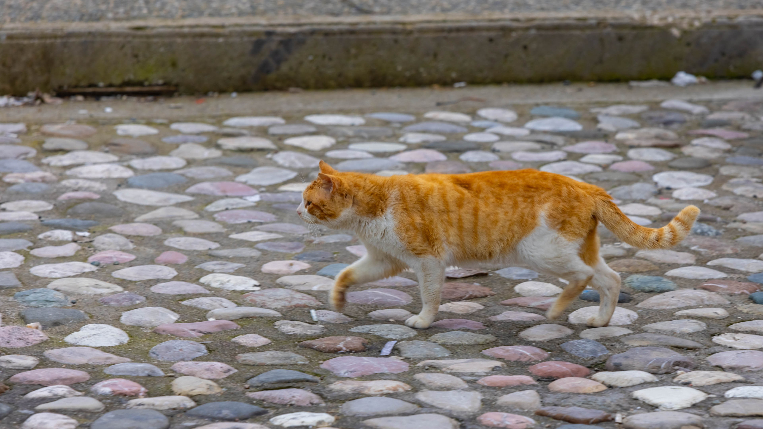 2025 0 2. Греция, Метеоры — Турция, Стамбул. Фотографии