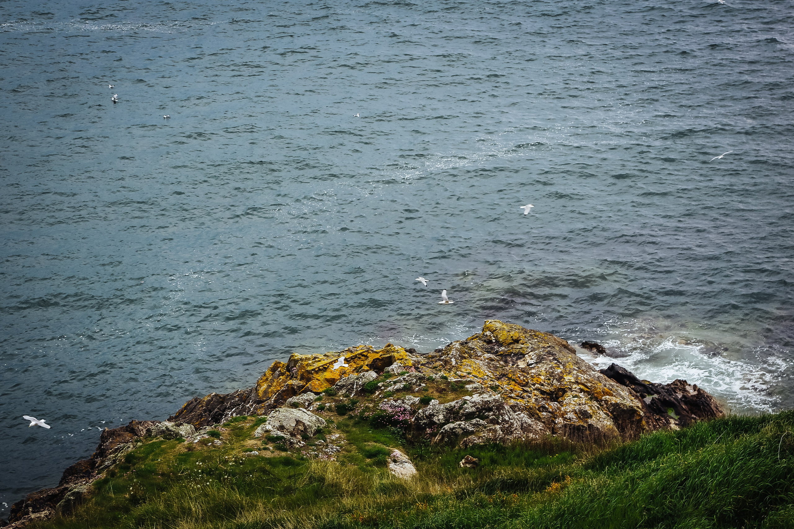 Ирландия: Хоут — тропинка на одного. Дарья Письменюк / Darya Leitstern — фотограф, музыкант, журналист, путешественник