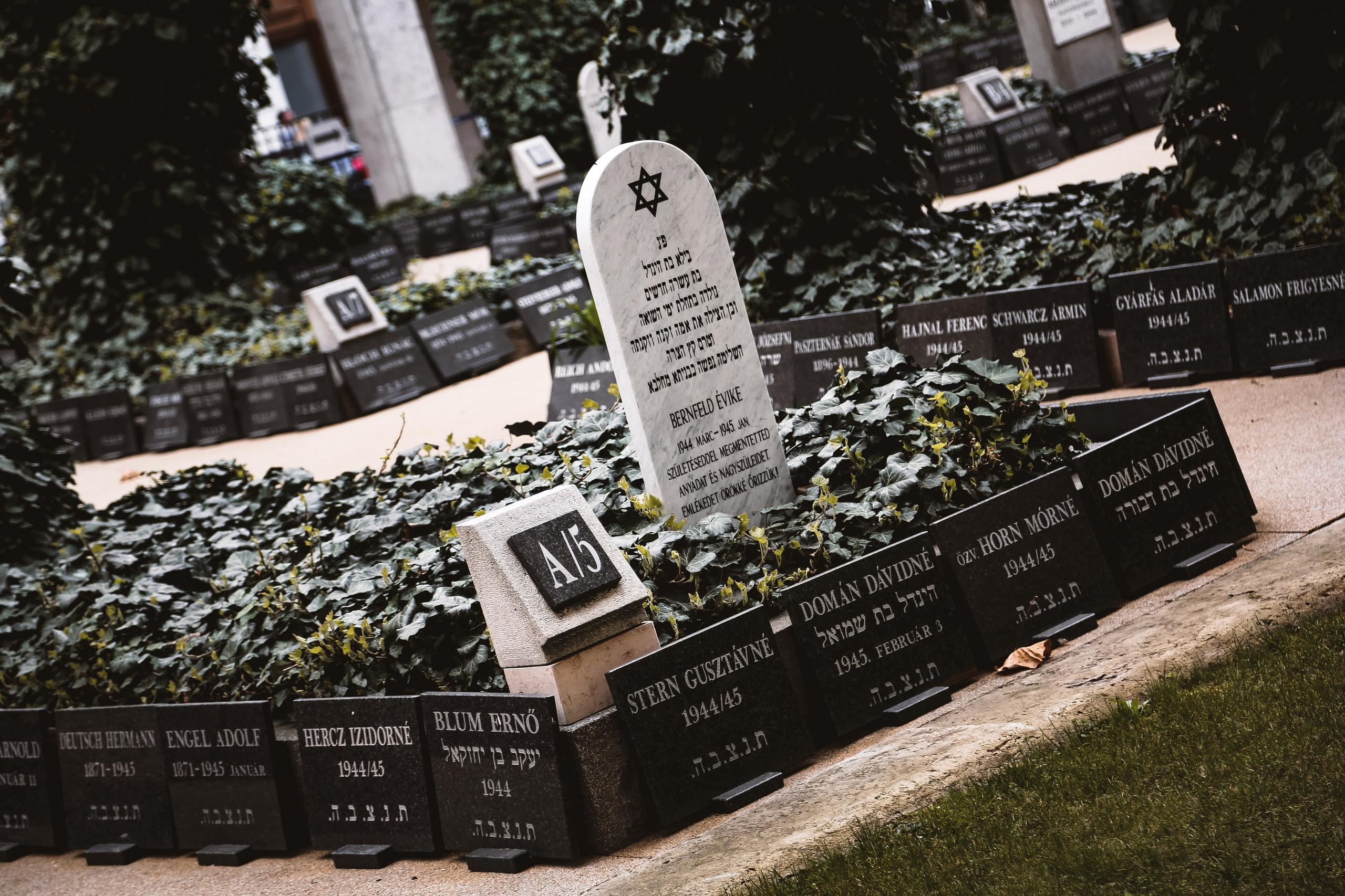 Венгрия: Еврейский Будапешт. Дарья Письменюк / Darya Leitstern — фотограф, музыкант, журналист, путешественник