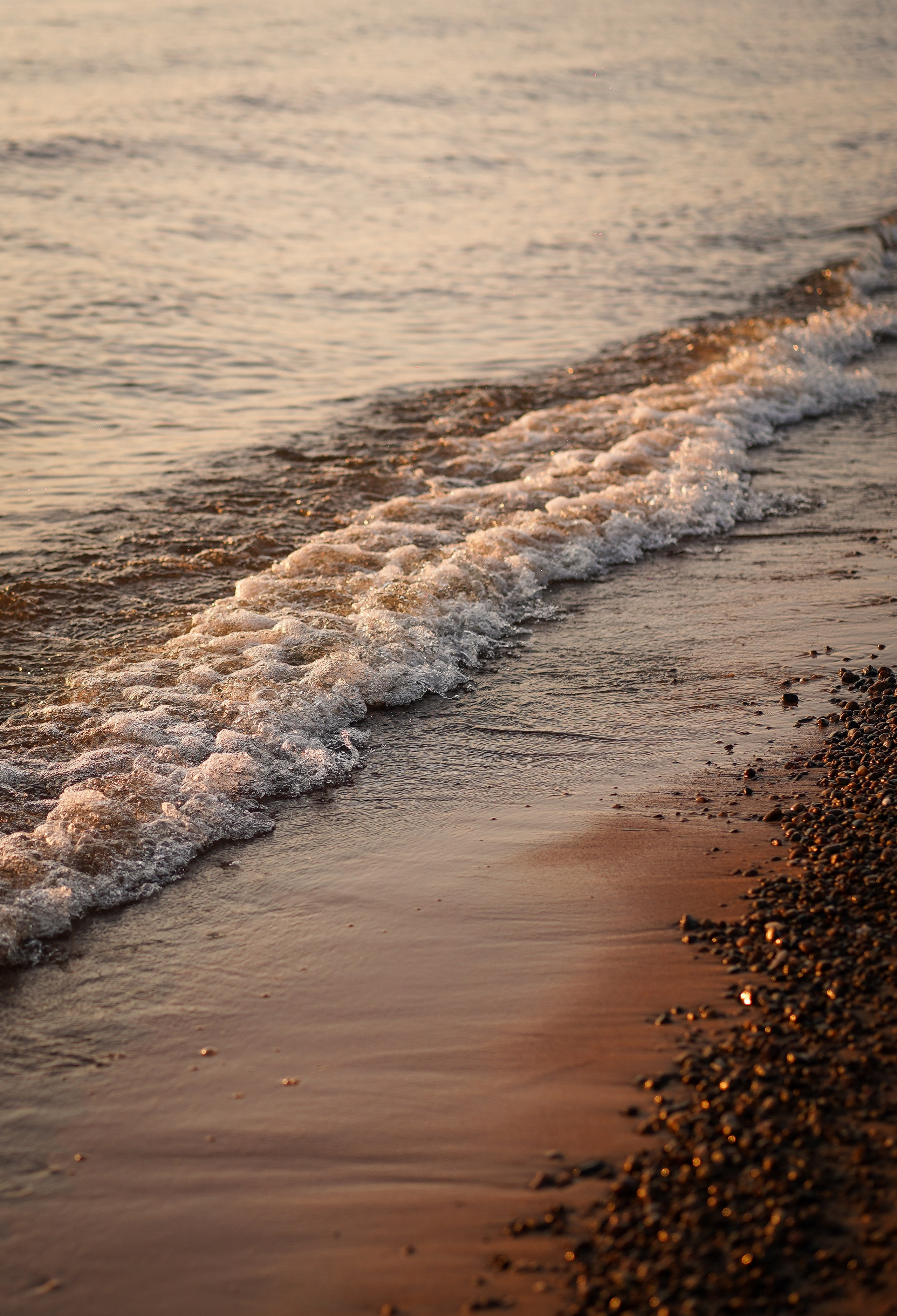 Вероника и Адам. Фотограф-анималист в Санкт-Петербурге Яна Мартынова