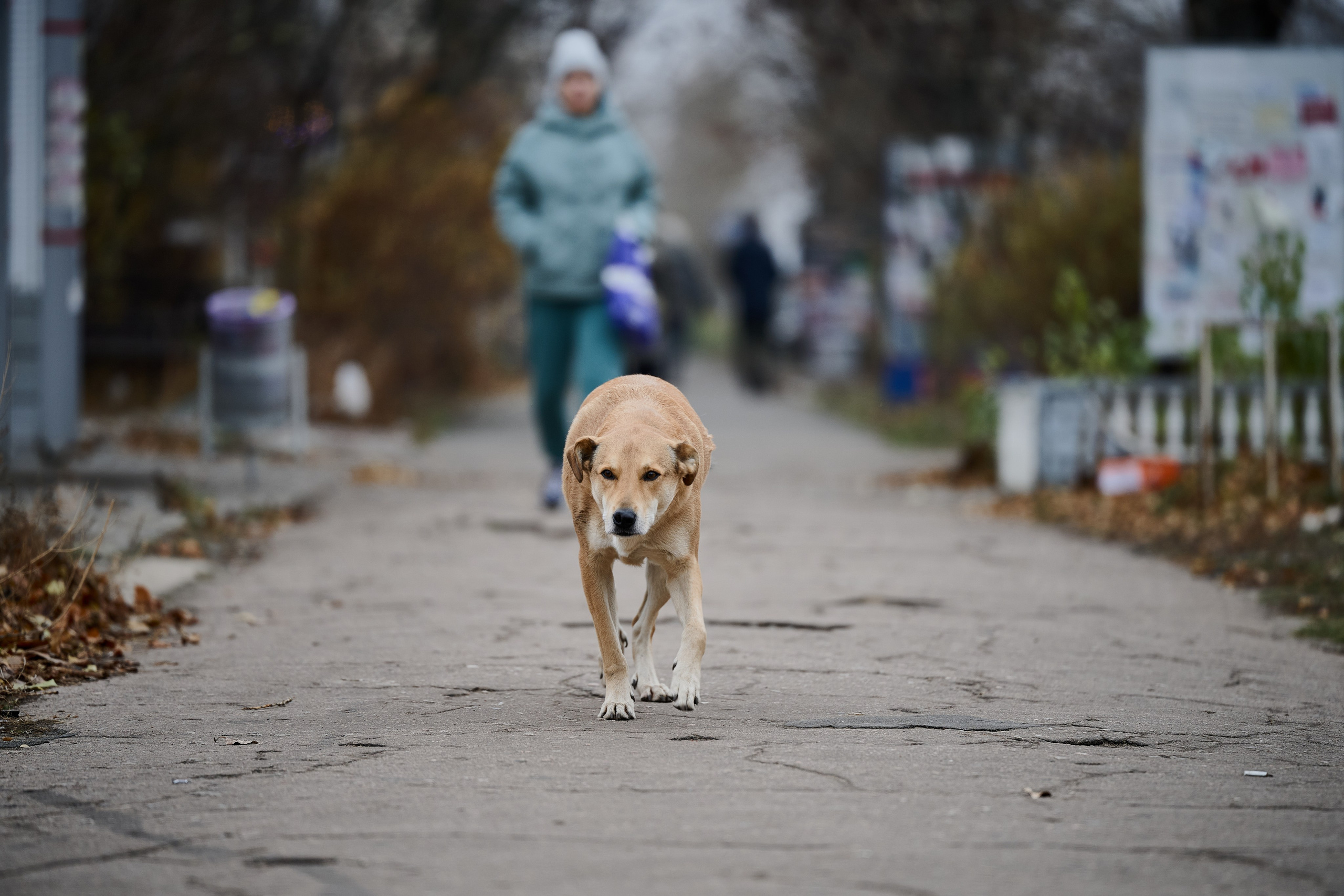 Рубежное. Луганская область. Фотопроект «Территории»