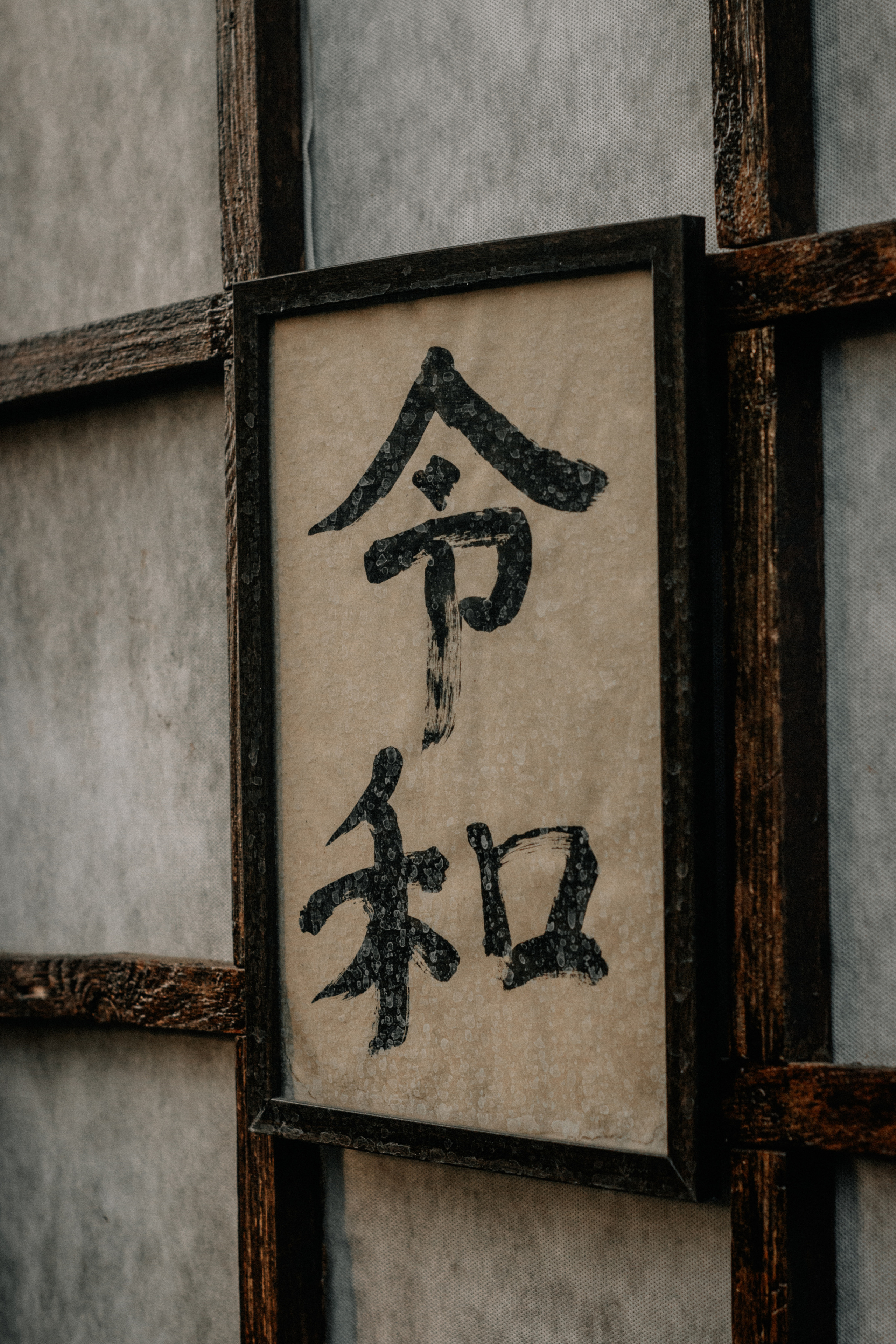 Фотограф Калининград отзывы. Репортажный и индивидуальный фотограф в городе Калининград