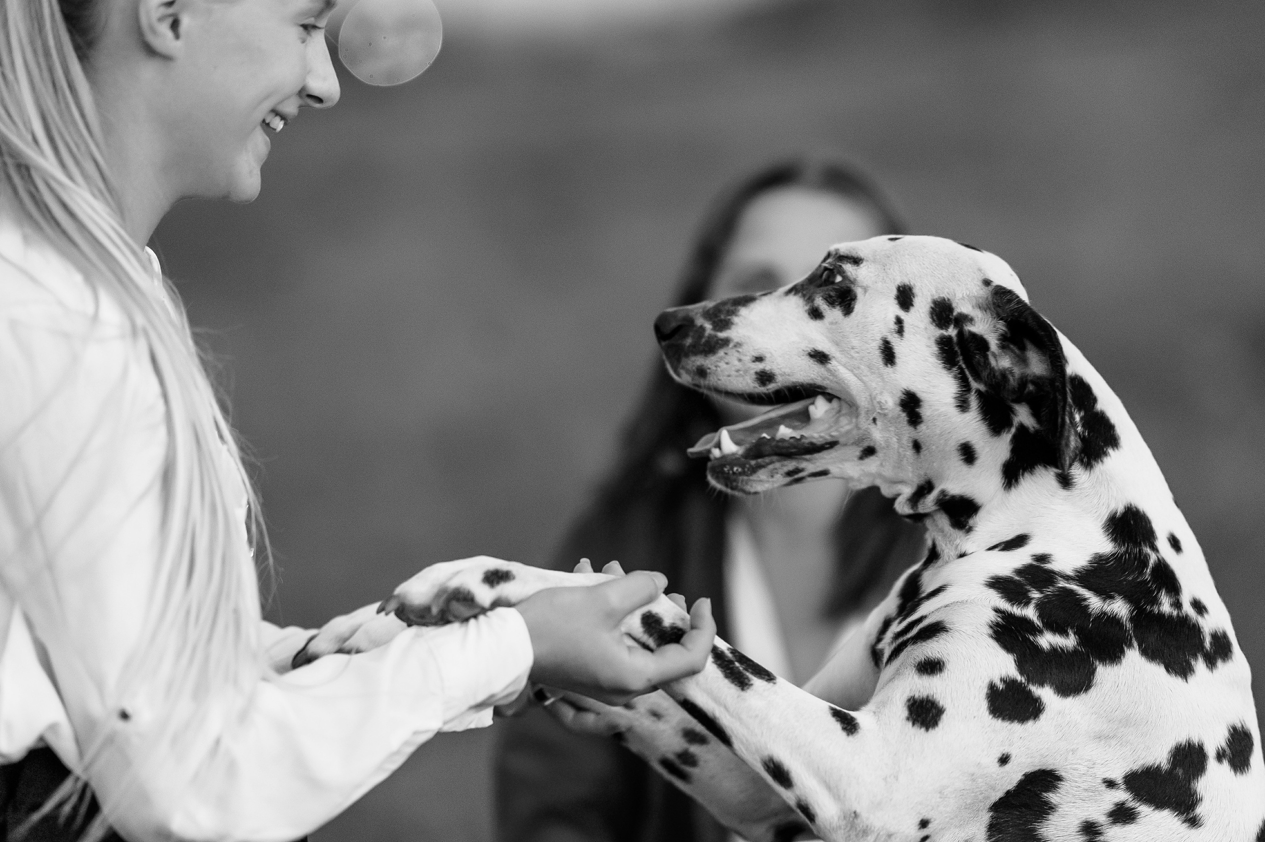 В поле. Семейная. Фотограф Котова Валентина