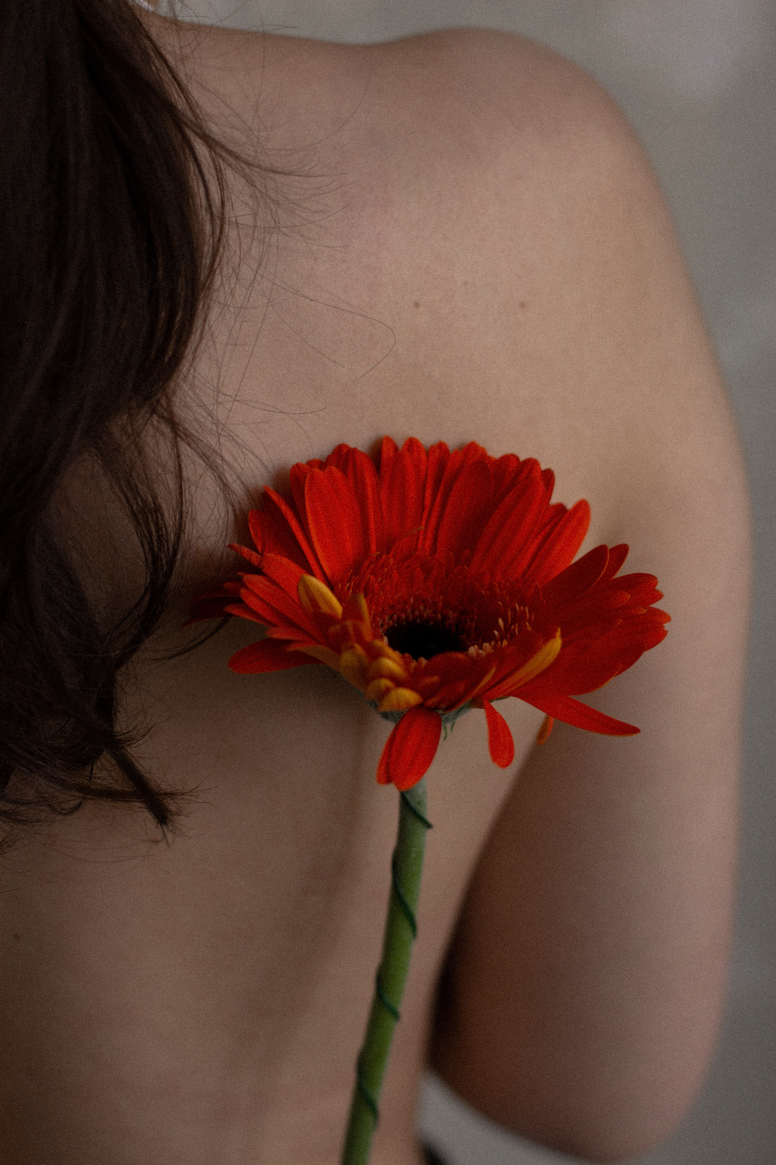 Ани. Фотограф в Санкт-Петербурге Смирнова Диана