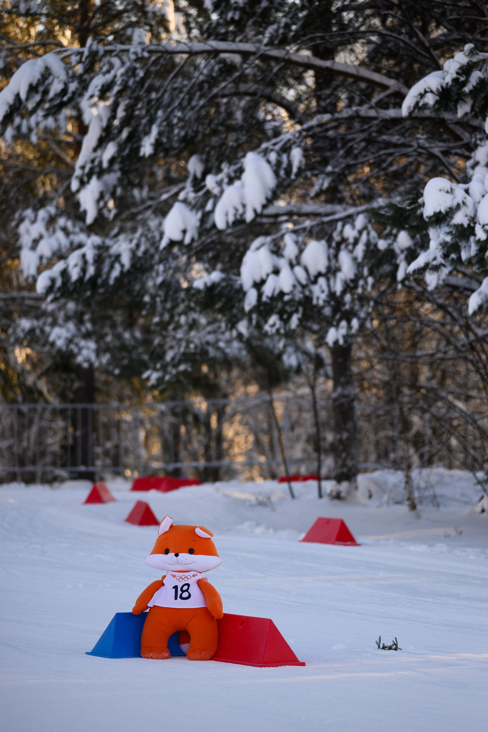 Лыжные гонки. Свадебный фотограф Ижевск Петр Шишков