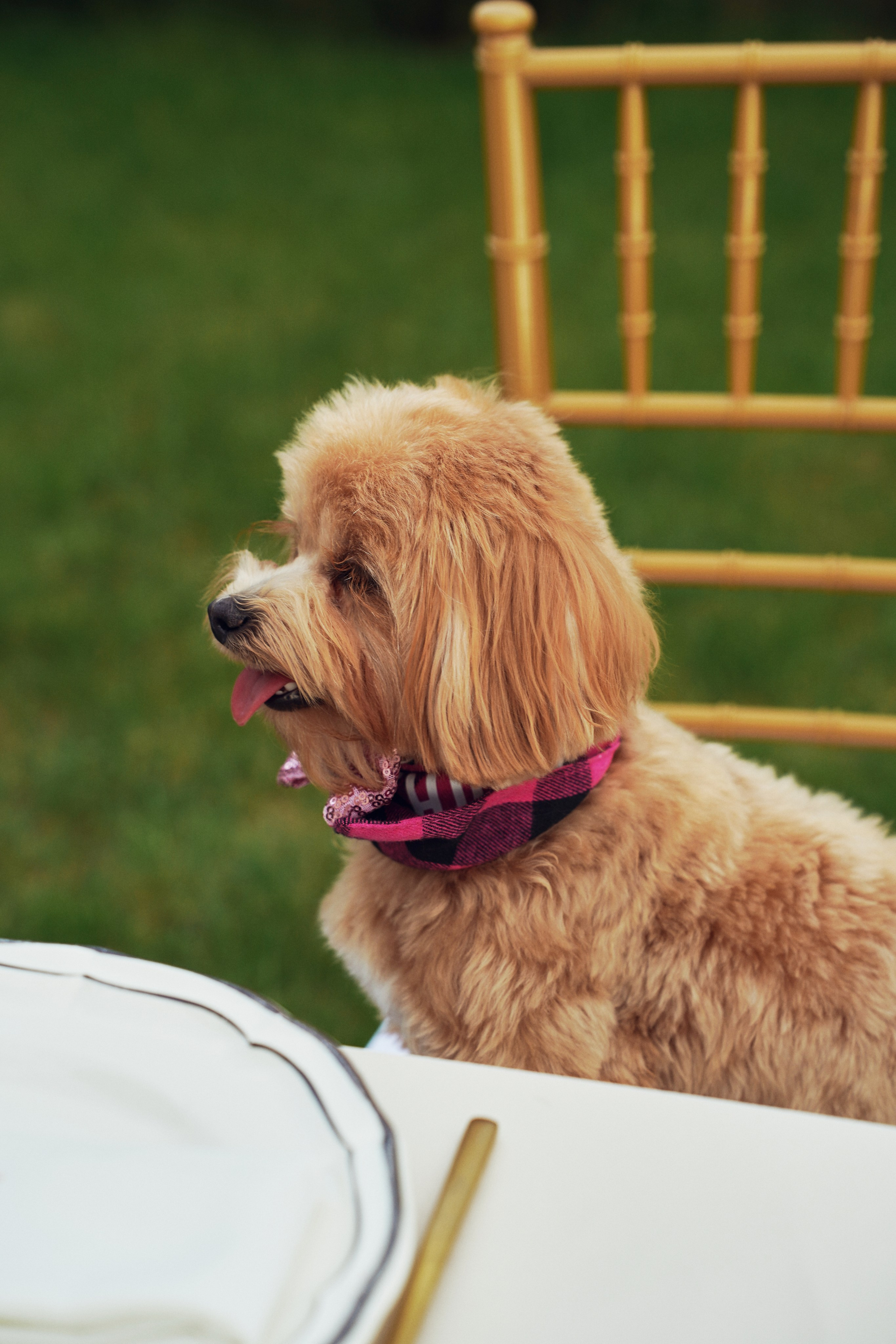 День Рождения Екатерина. Фотограф