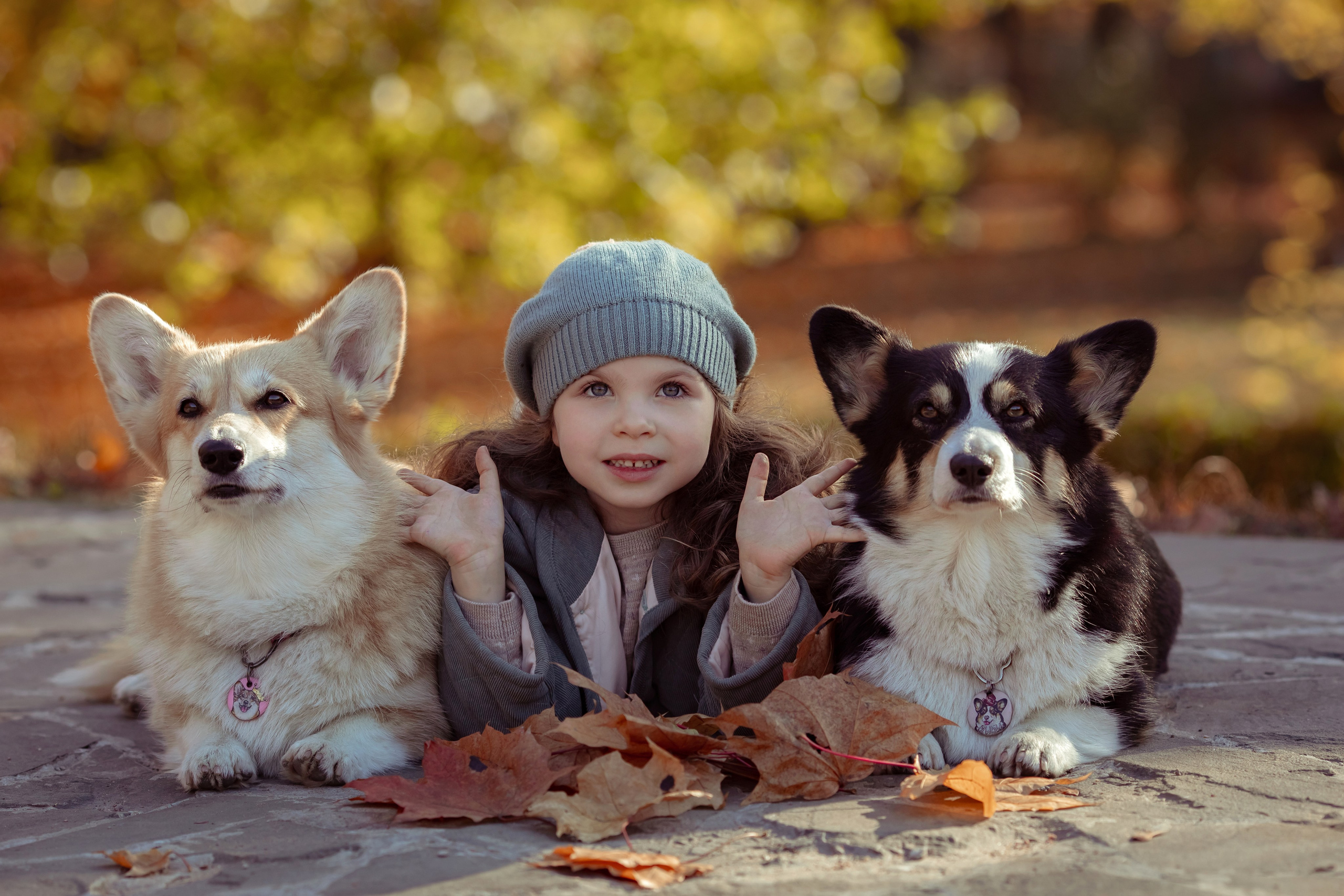 Эва с корги. Семейный и детский фотограф в Москве Дорогова Екатерина