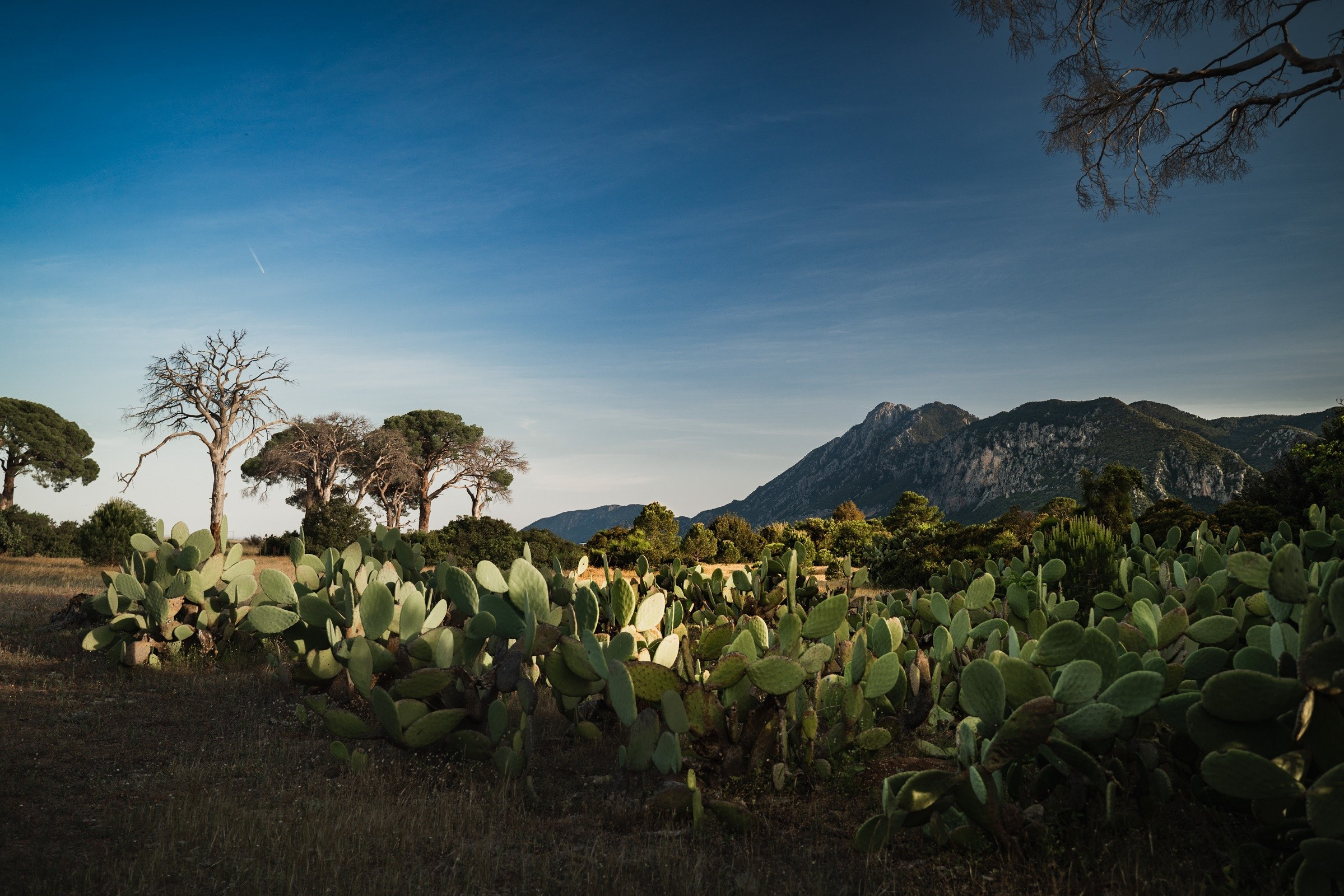 Турция. Восточная Ликийская тропа. Фотограф в поход и восхождение на Эльбрус Игорь Косарев