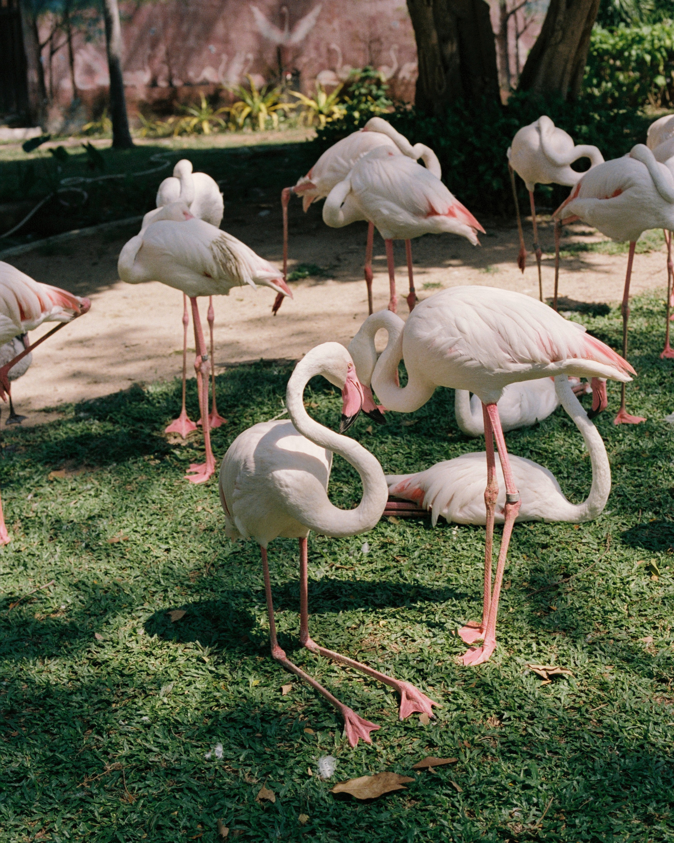 Thailand. Kirill Shashkov