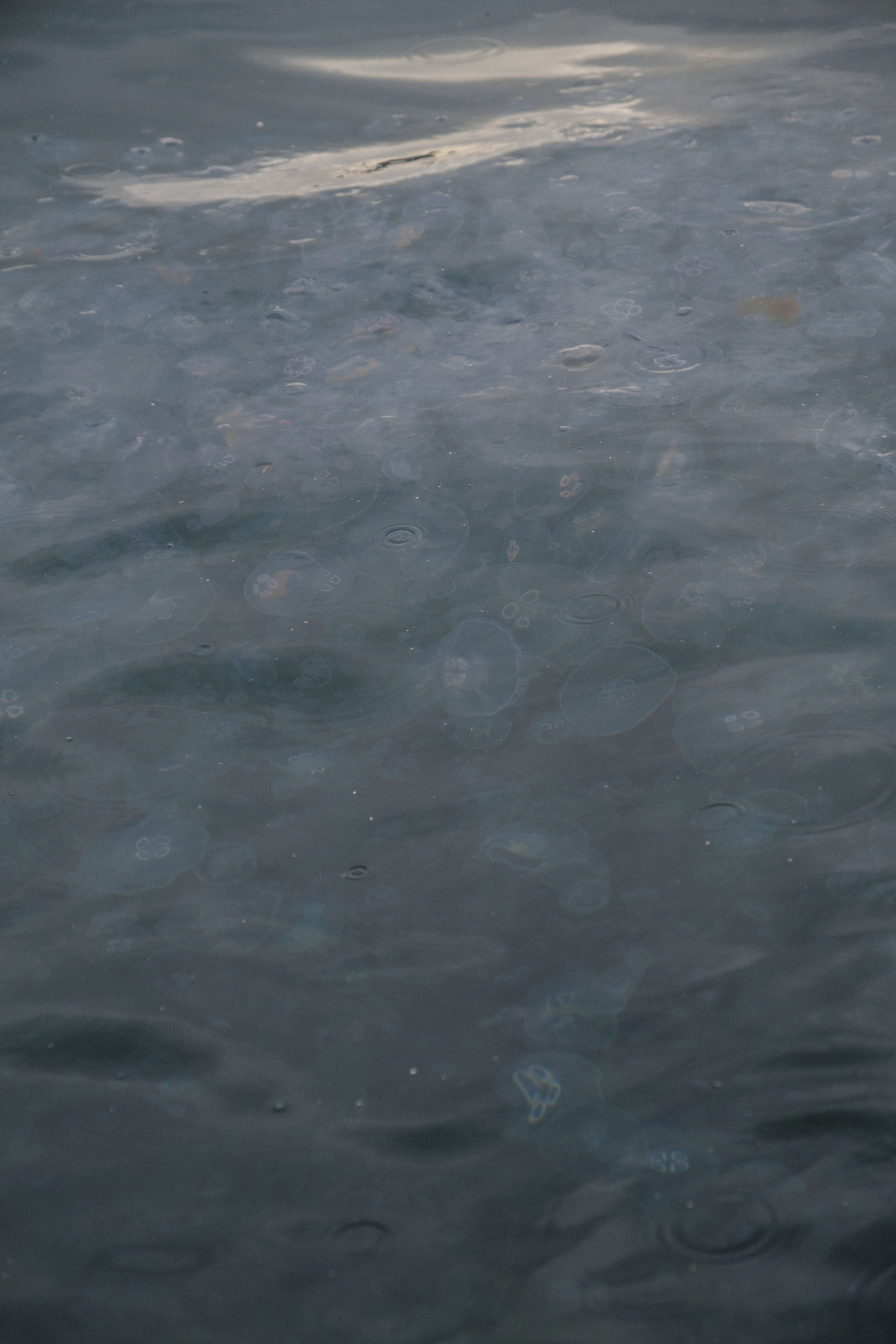 От Стамбула до Каппадокии. Annbakhtina.com