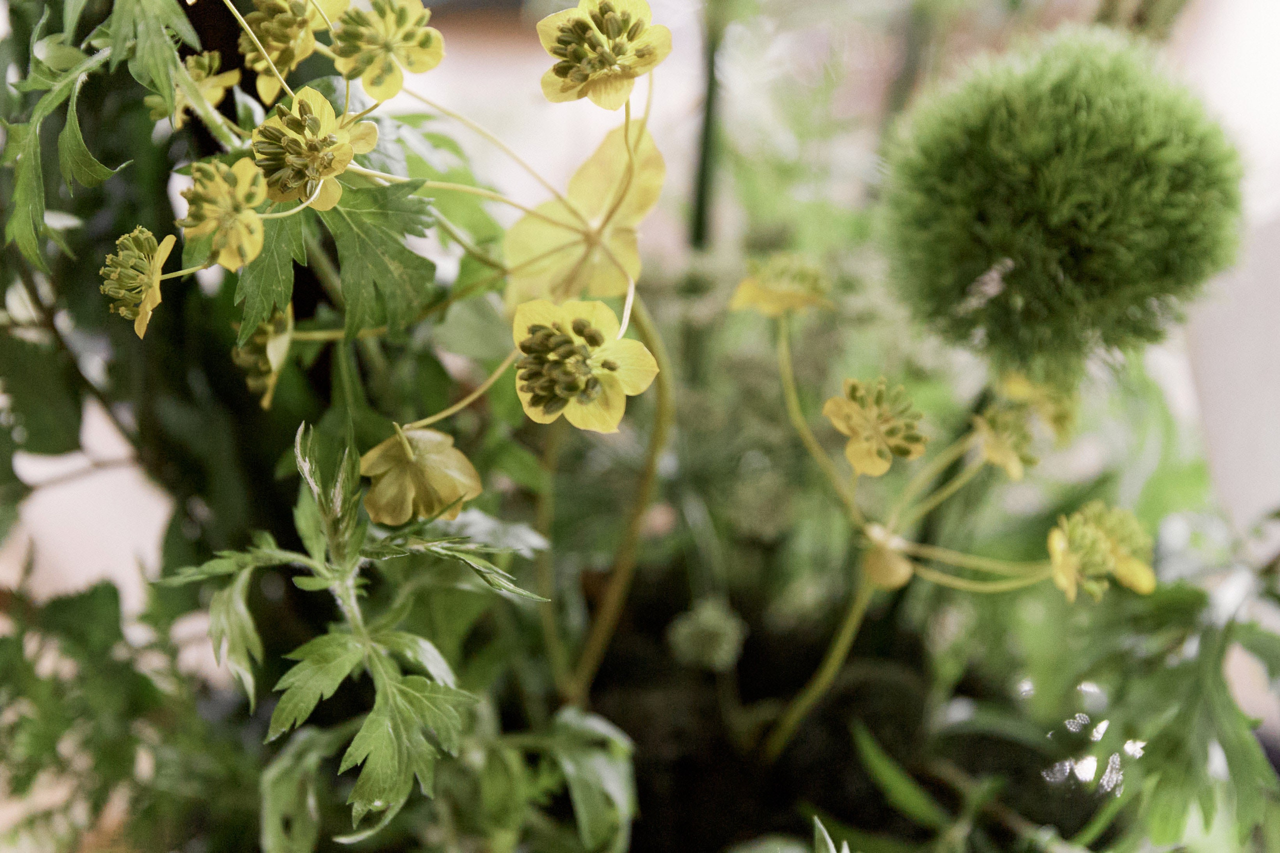 Посмотреть серию. Свадебный и семейный фотограф в Красноярске Тряпчев Павел