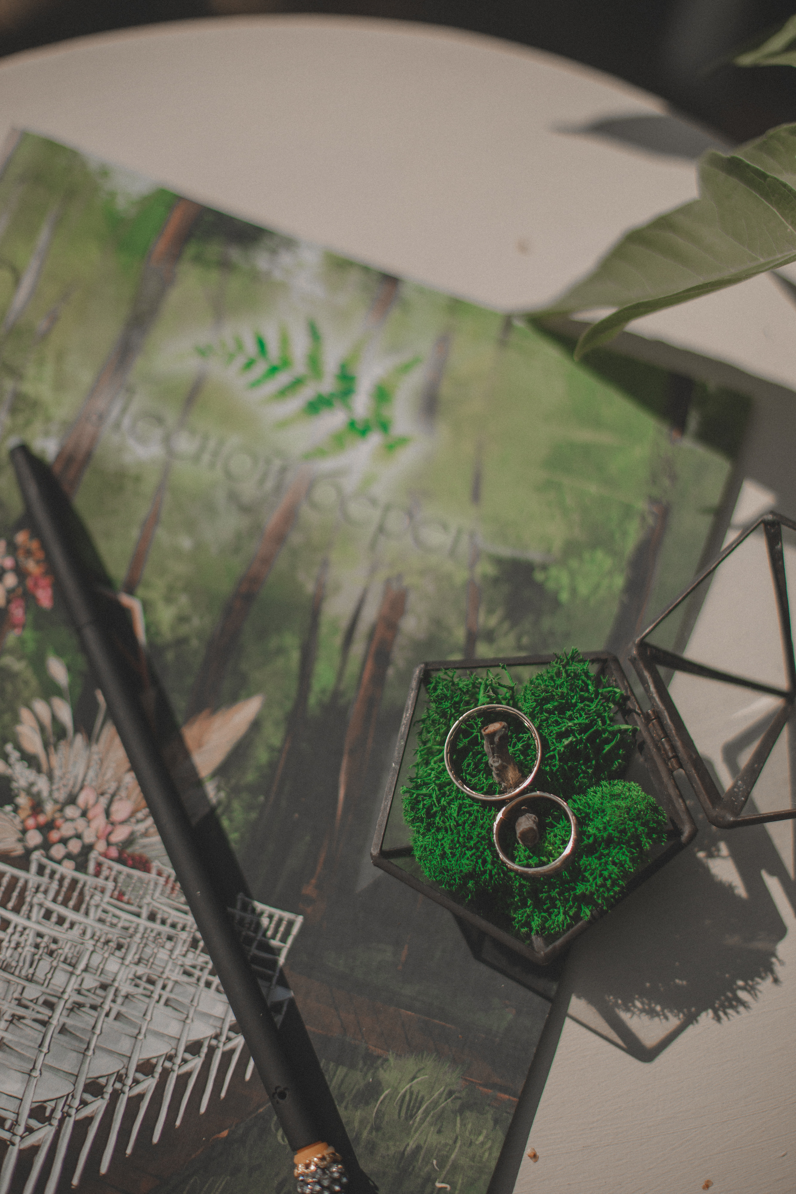 Арина и Вова. Ведущий на свадьбу в Москве Зубков Алексей