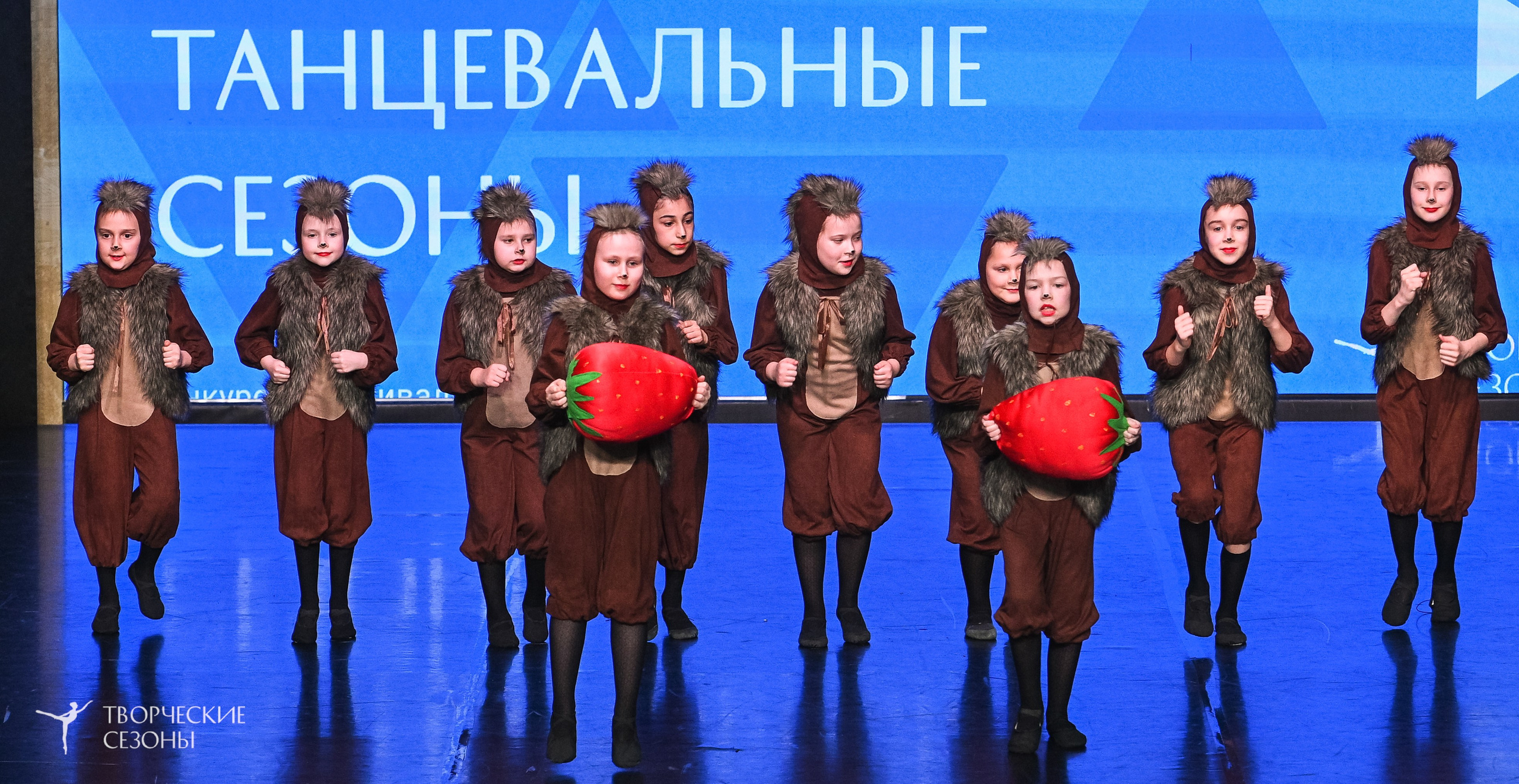 28.02.2026 V Всероссийский фестиваль «Танцевальные сезоны.Петербург». Медиастудия Фото Концепт