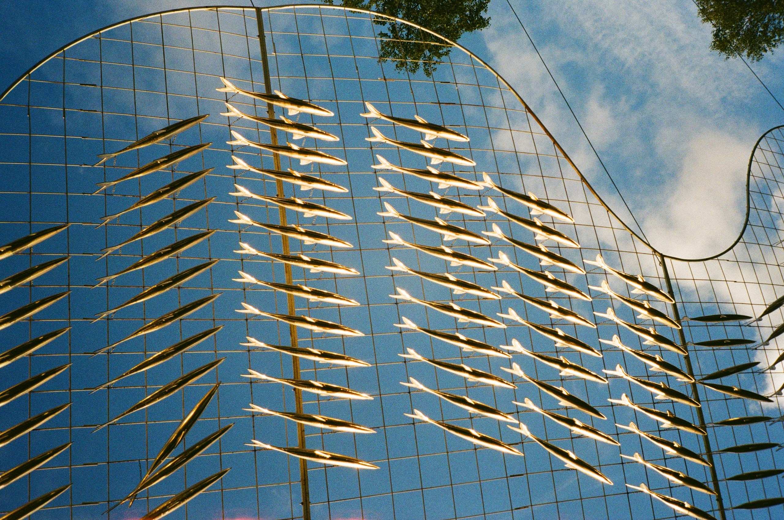 Снято на пленку. Семейный LIFESTYLE фотограф в Москве