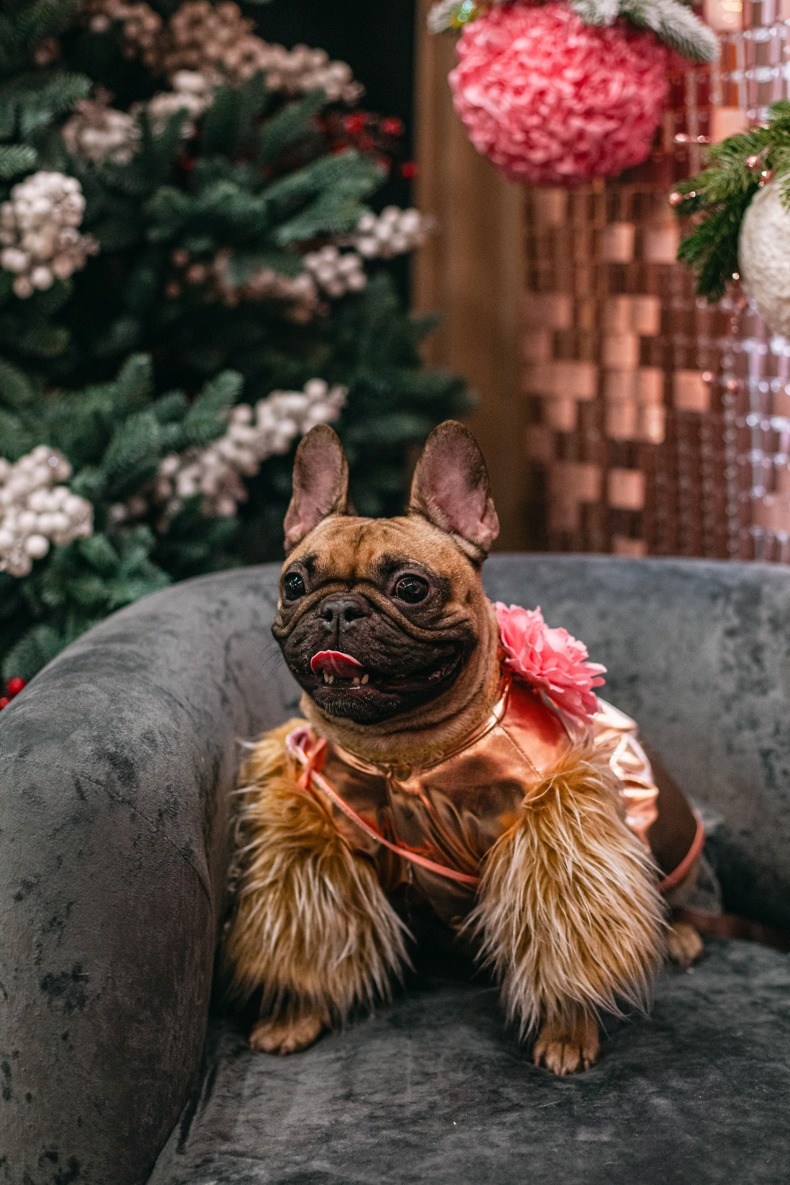 Бульёлка 2024. Фотограф-анималист Татьяна Степанова