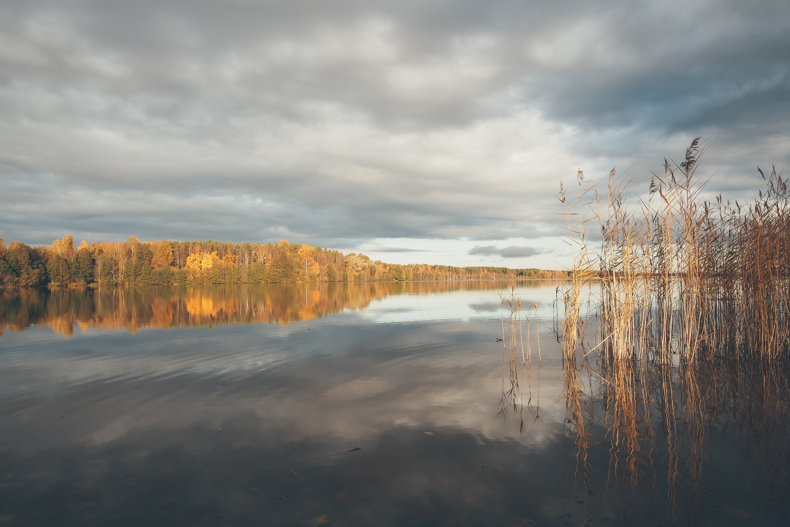 Сестрорецк. Свадебный фотограф Копков Геннадий