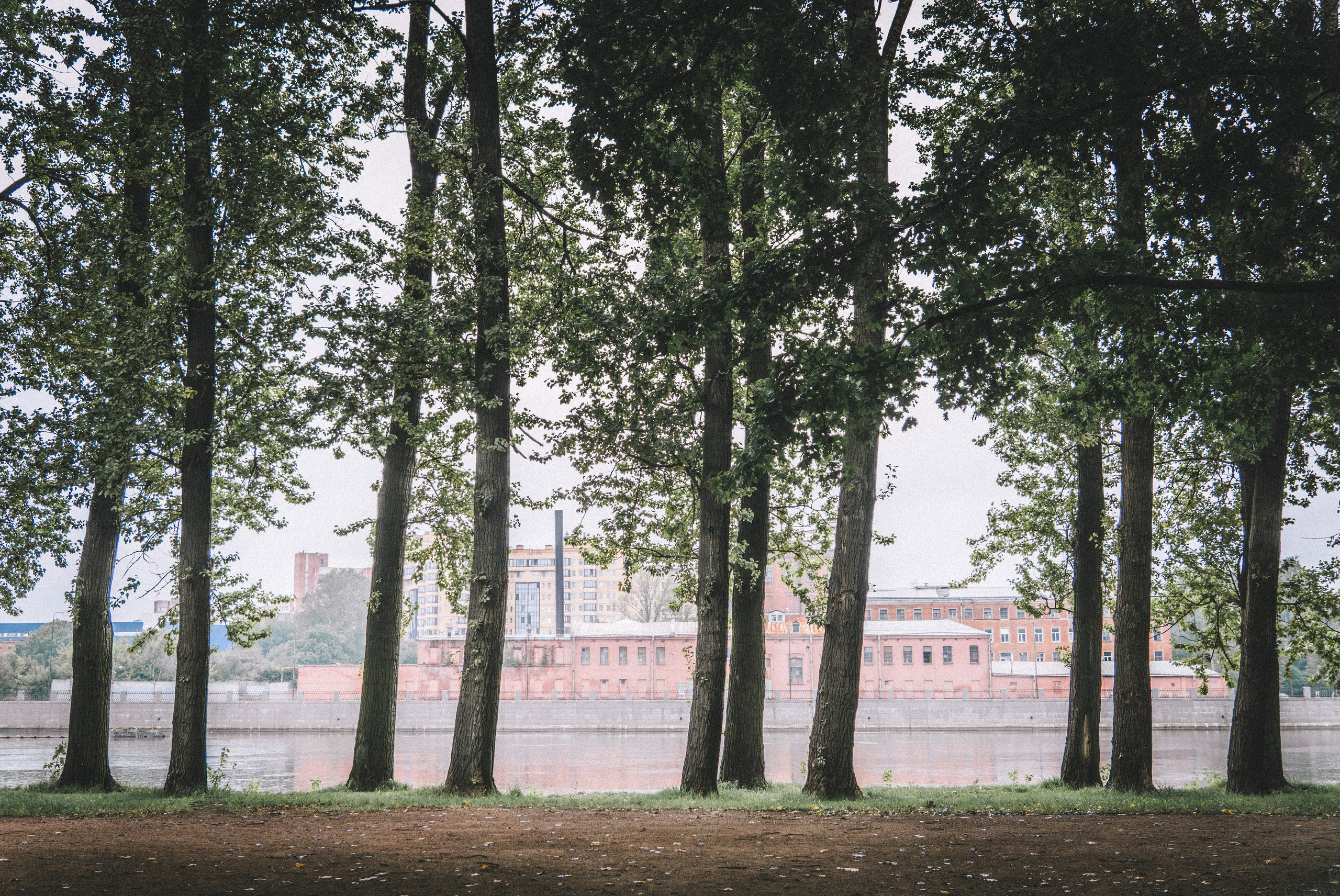 Фотопрогулка / сентябрь / СПб. Фотограф Яна Журавская Спб / Москва