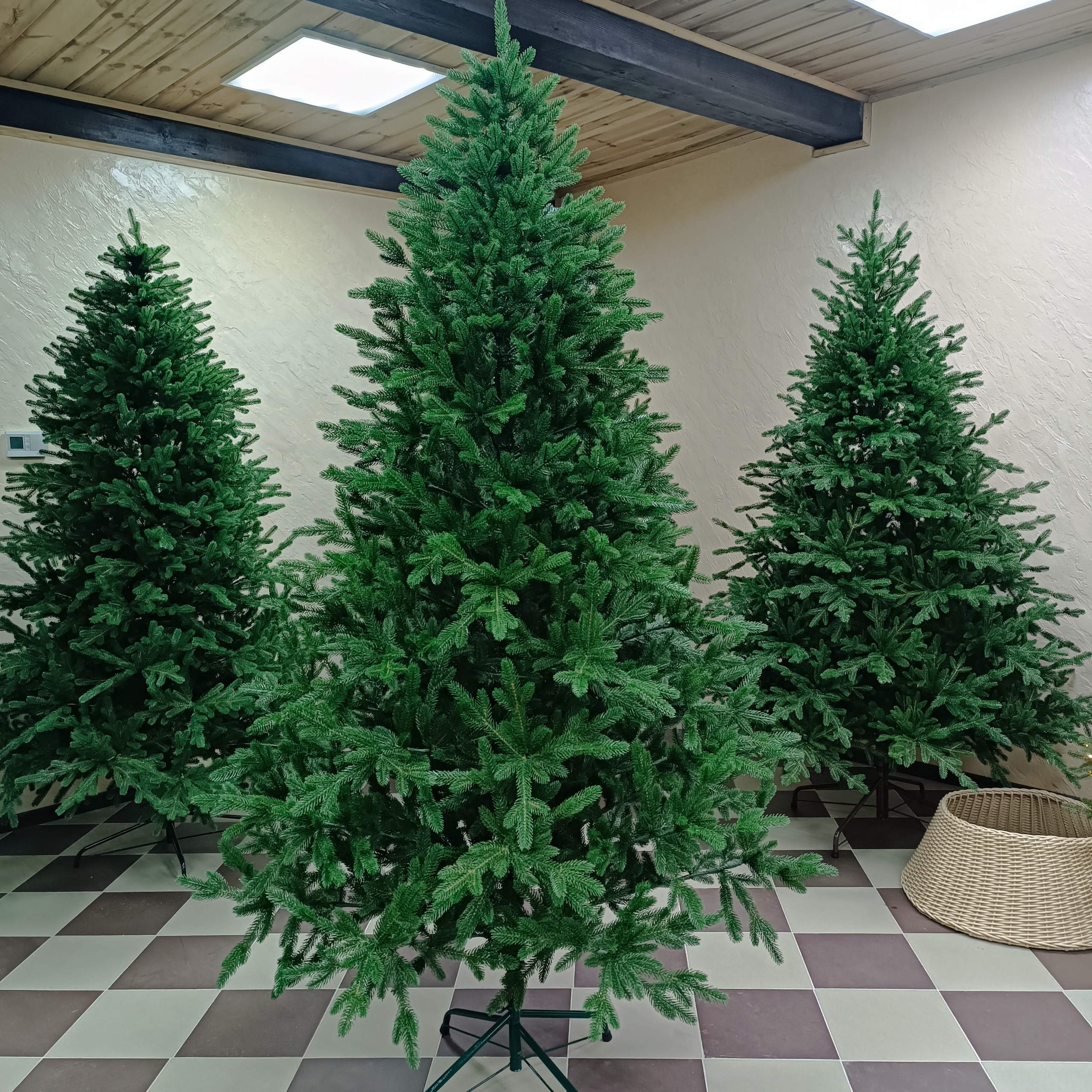 КАВКАЗСКАЯ. Elki_grodno