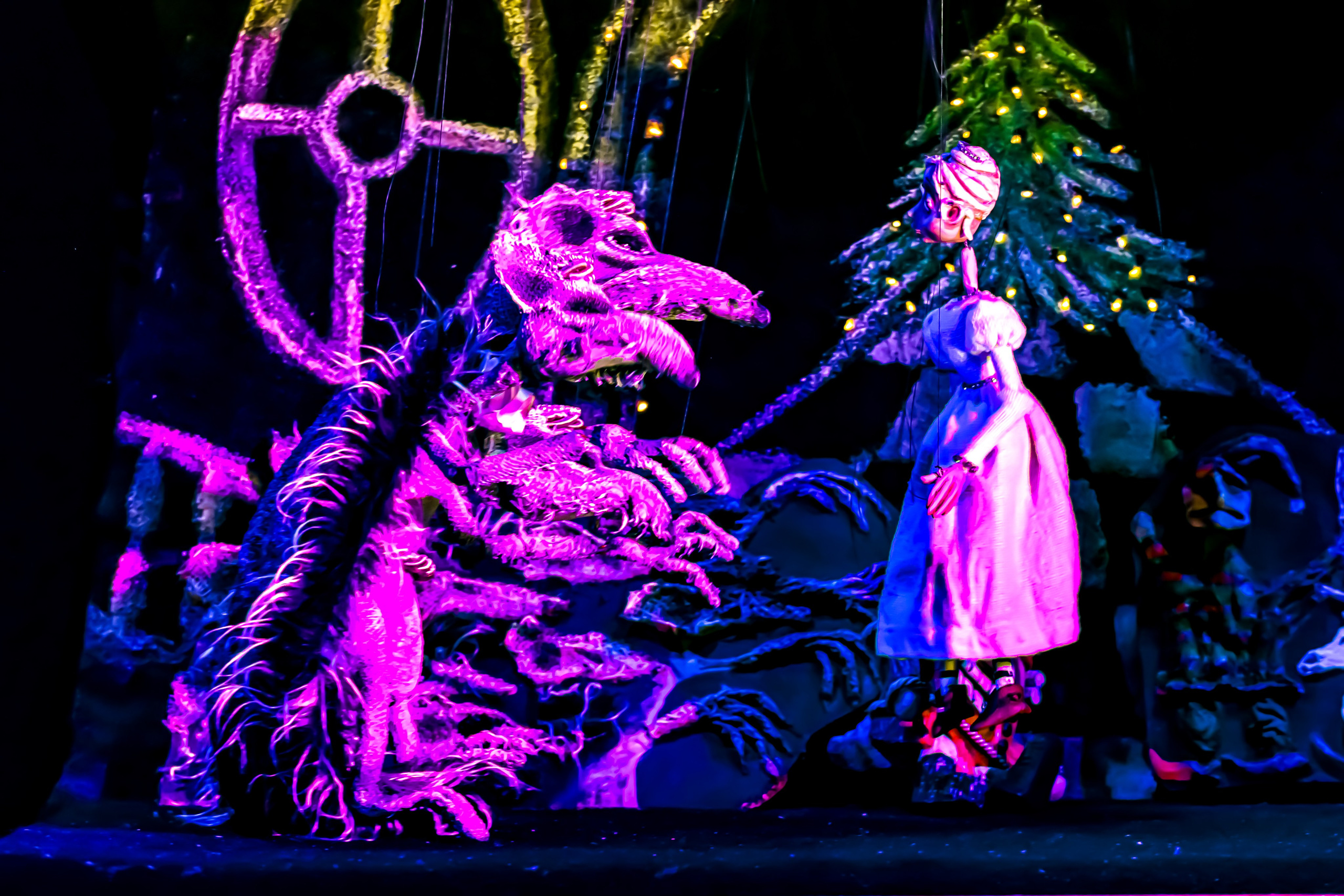 Щелкунчик и мышынный король. Фотограф в Сочи Юрий Шептаев