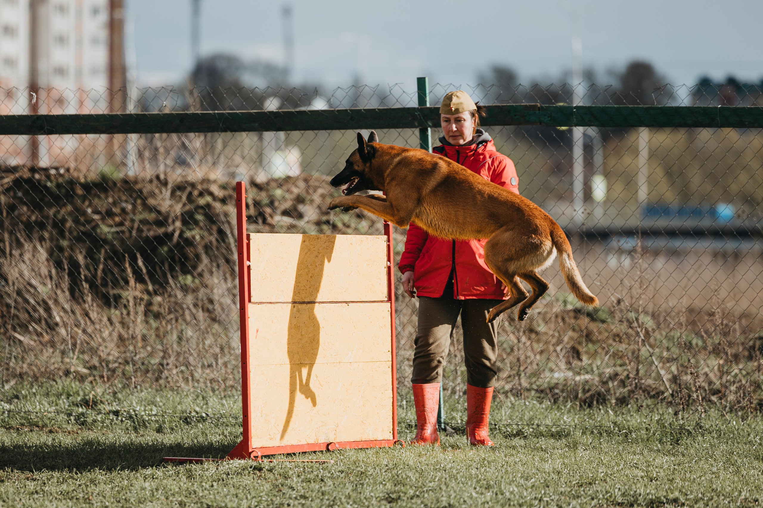 09.05.25 Вологда соревнования. Фотограф-анималист Анна Маринич