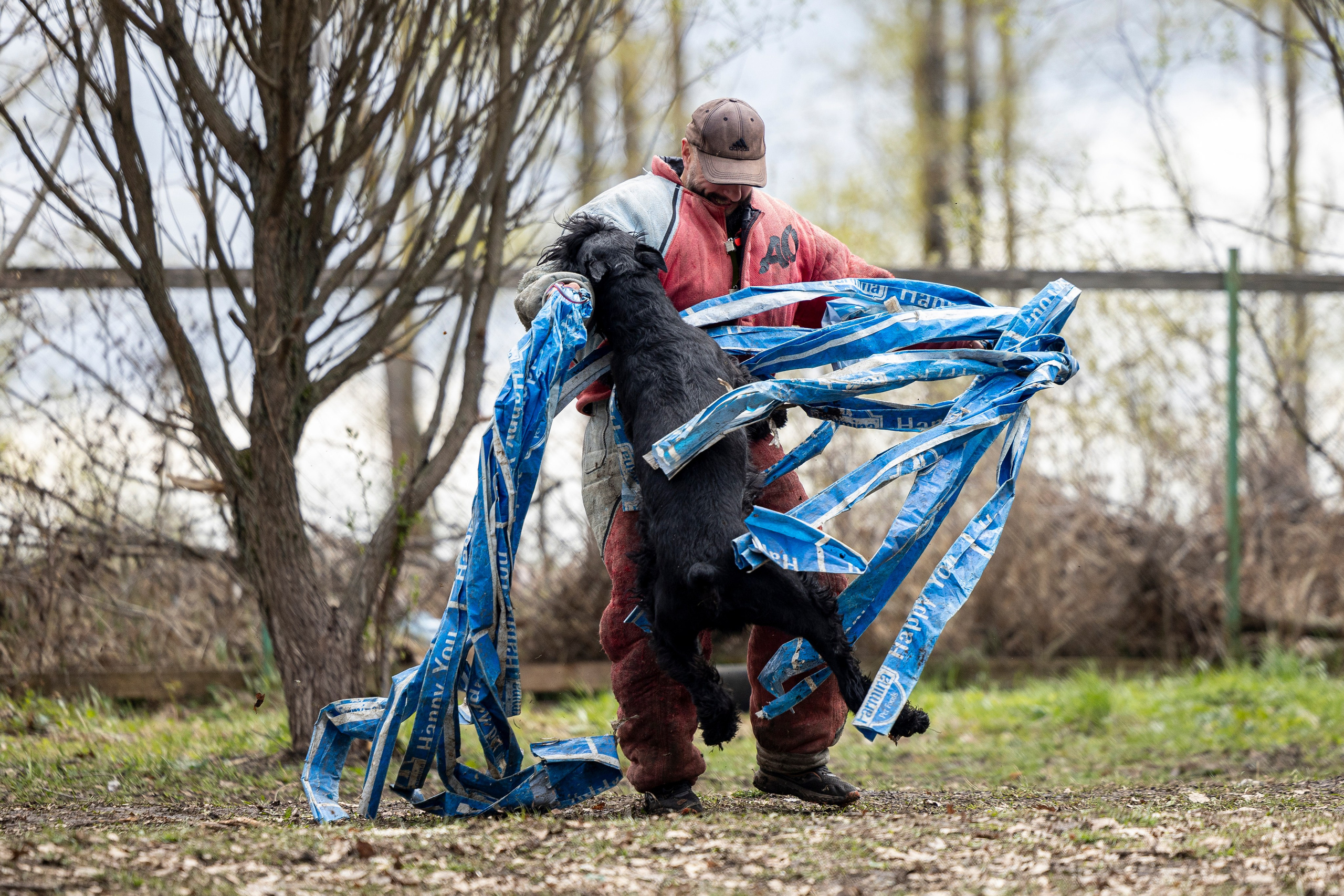 Квалификационные состязания по мондьорингу г. Вологда 11.05.24. Фотограф-анималист Анна Маринич