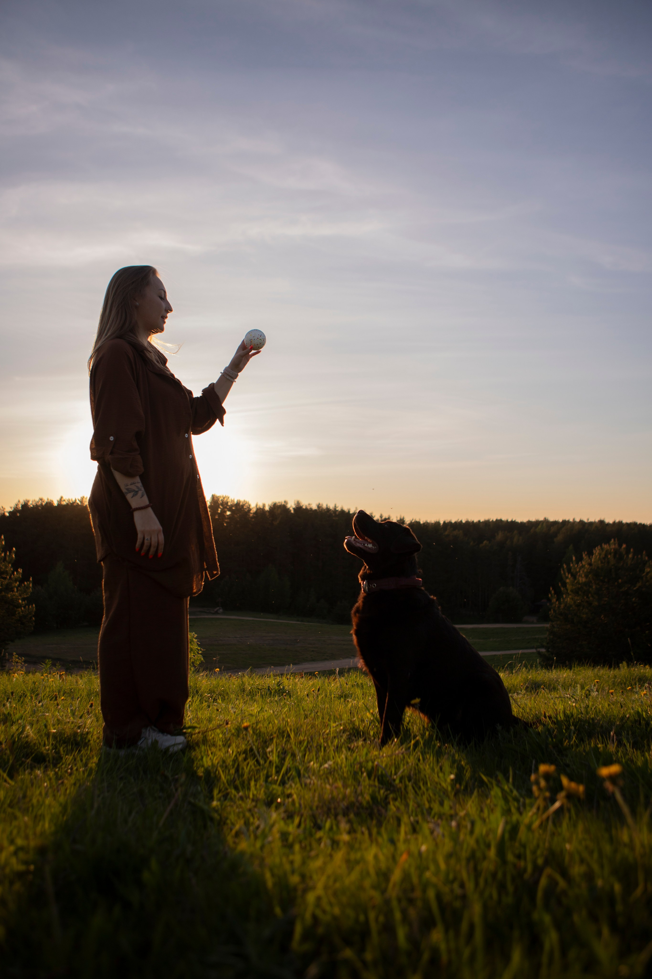 Закатная. Фотограф-анималист в Санкт-Петербурге Алина Яхонт