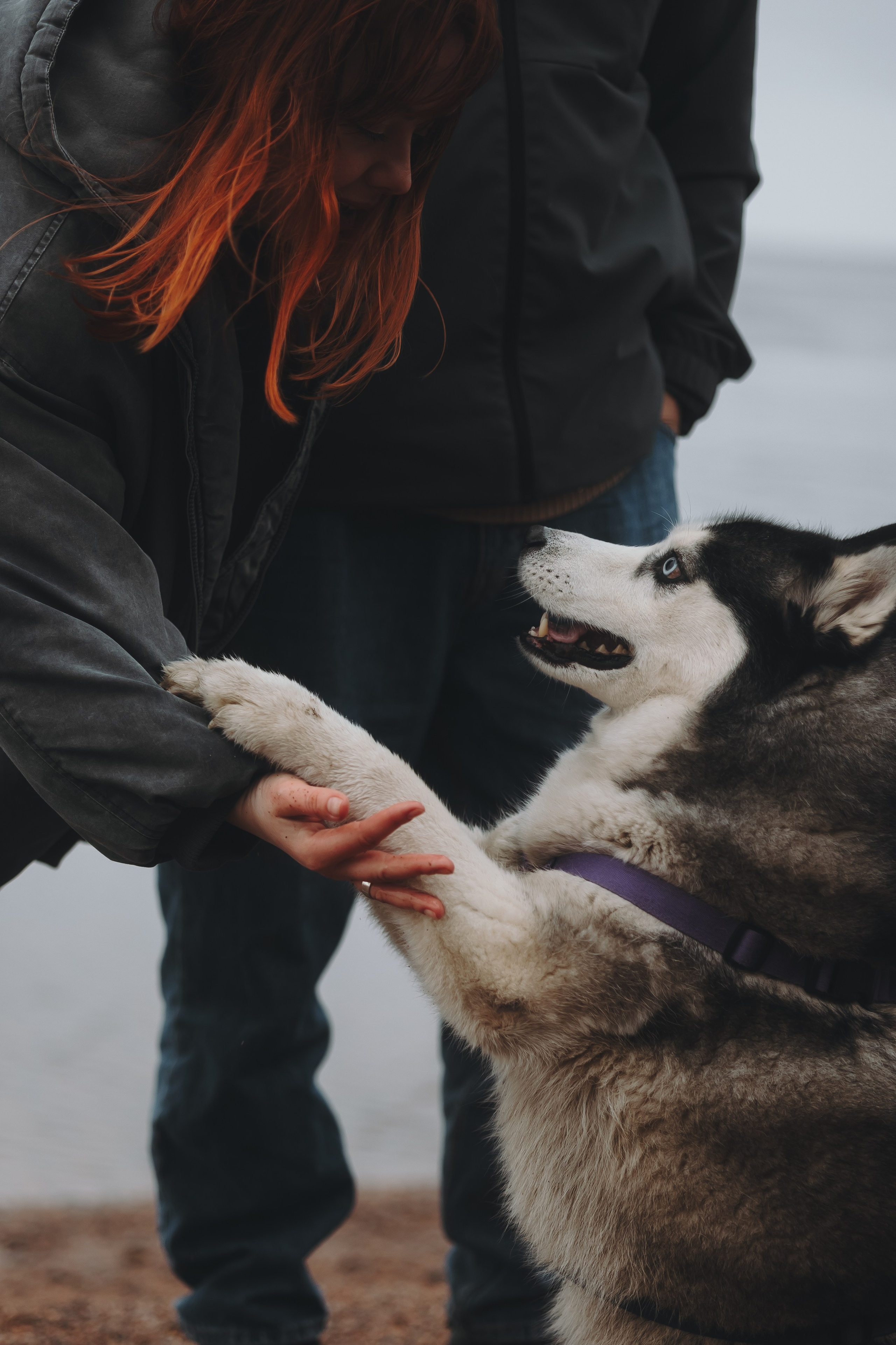 Катя, Илья и Эльза. Фотограф-анималист в Санкт-Петербурге Алина Яхонт
