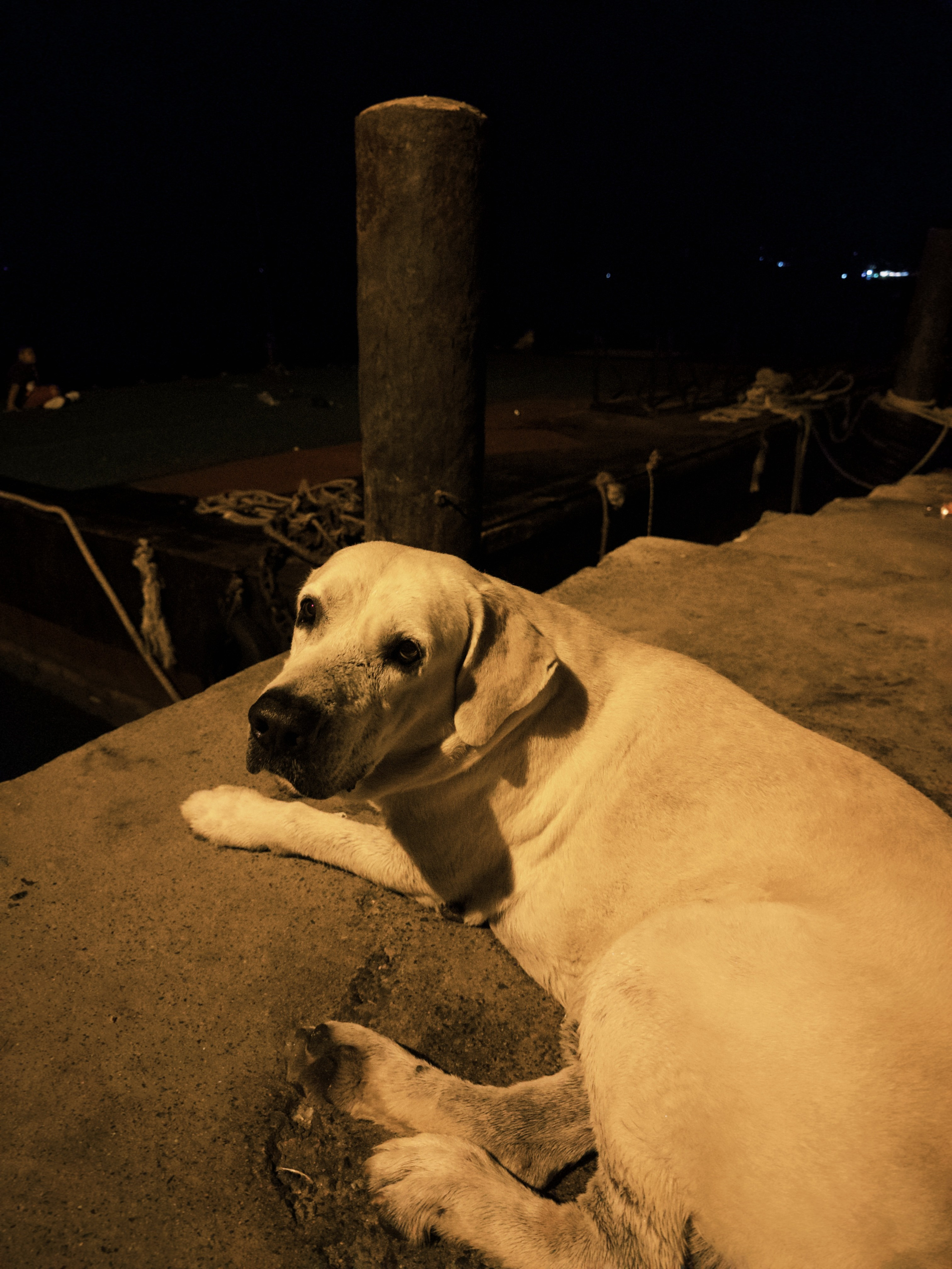 Две недели Пхукета. Главная