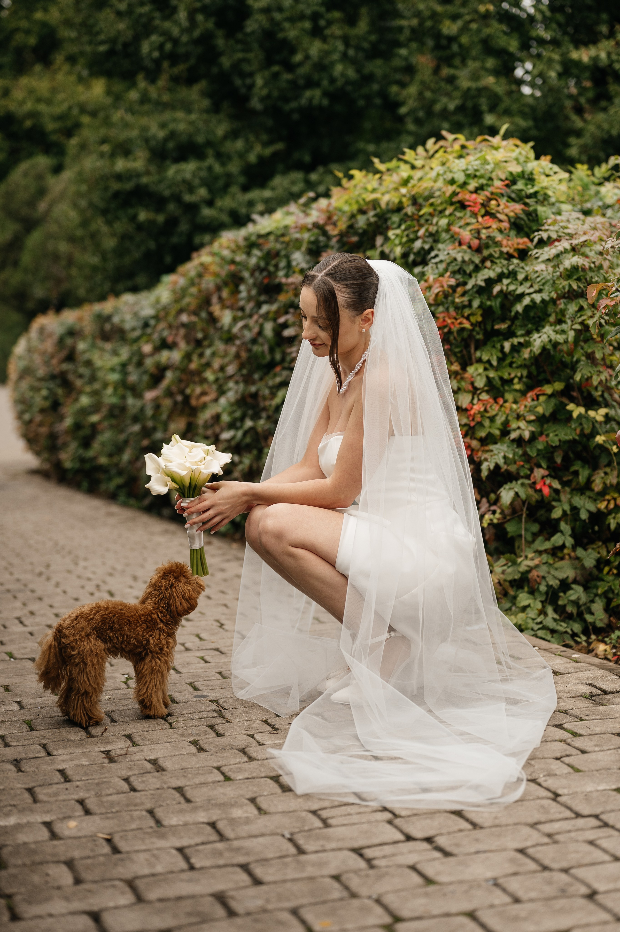 Константин и Виктория. Свадебный и семейный фотограф в Краснодаре Алина Мельник