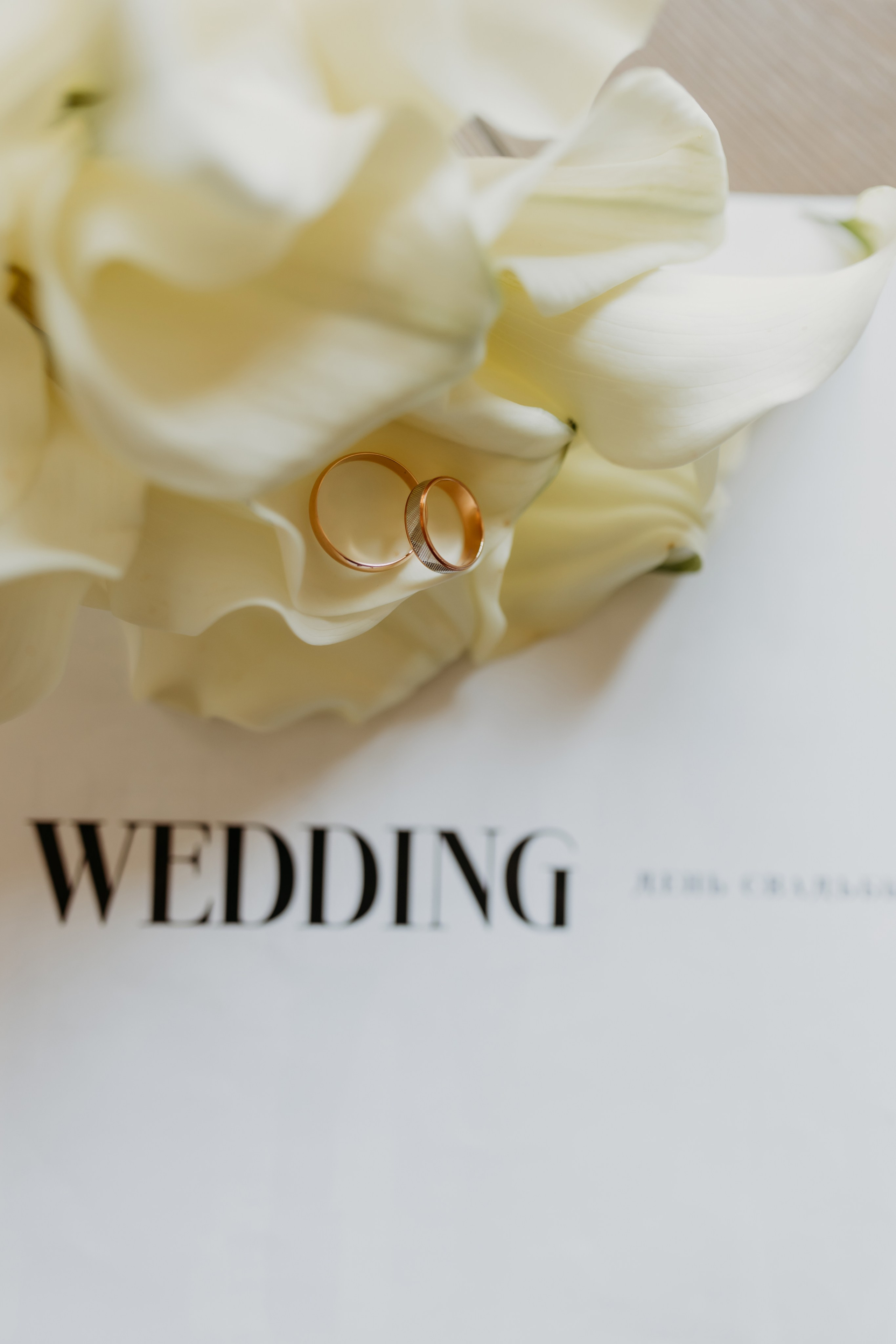 Максим и Дарья. Фотограф Тимербаева Алина г. Сургут