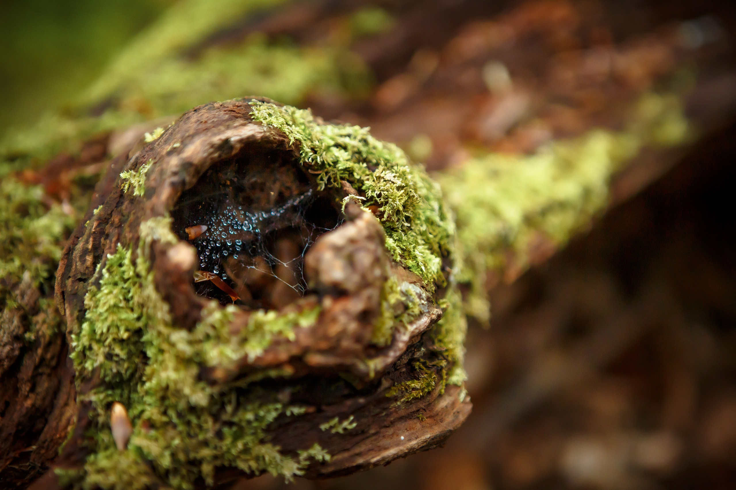 Ретрит репортаж