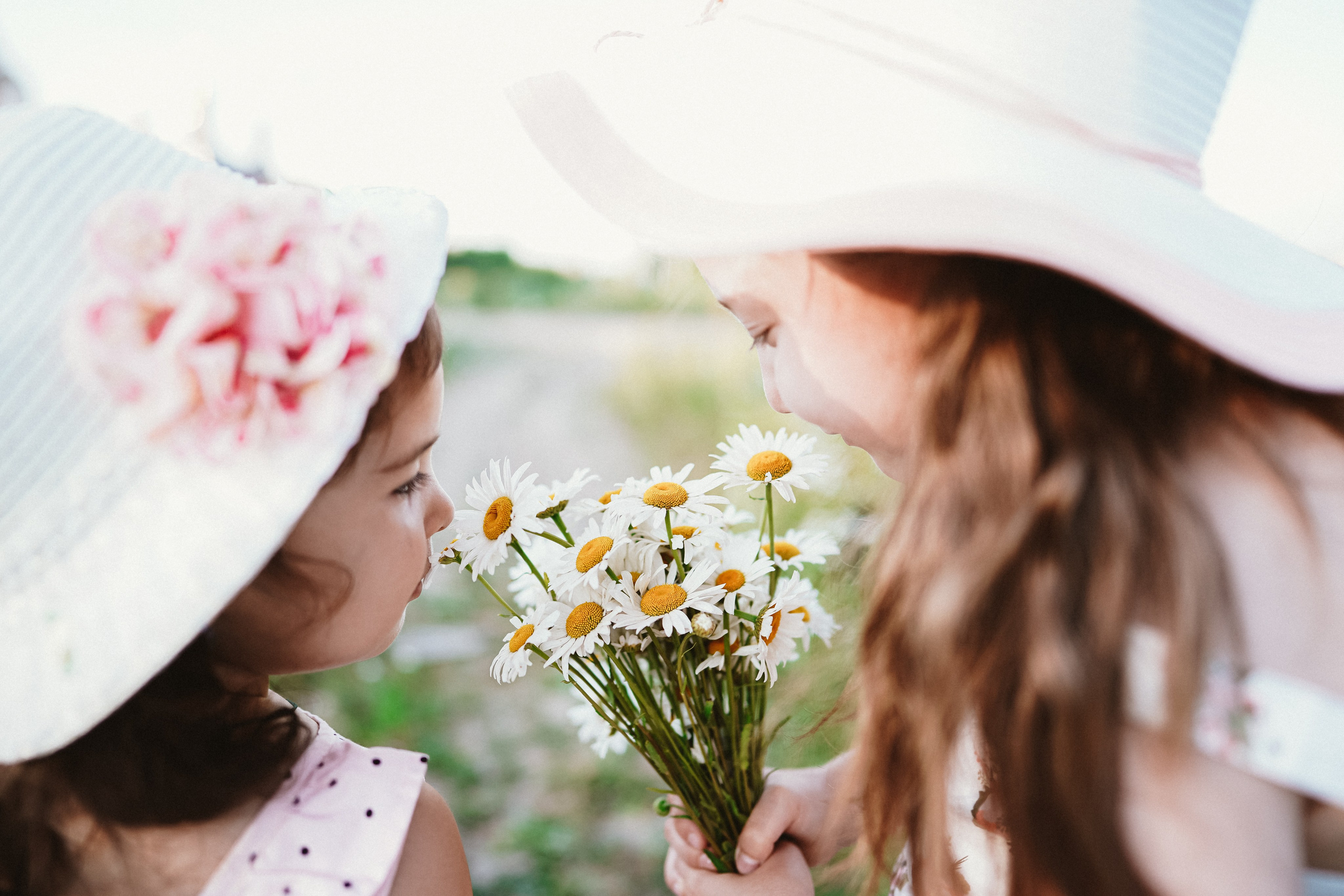 Аня и Даша в ромашках. Семейный и детский фотограф в Москве (Тинао) Галкина Алевтина