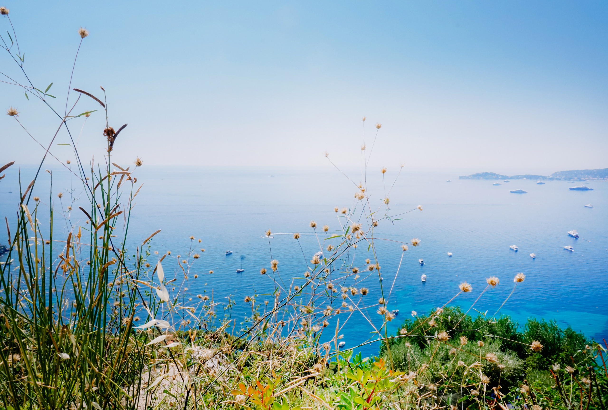 Ницца стрит. Iraogo