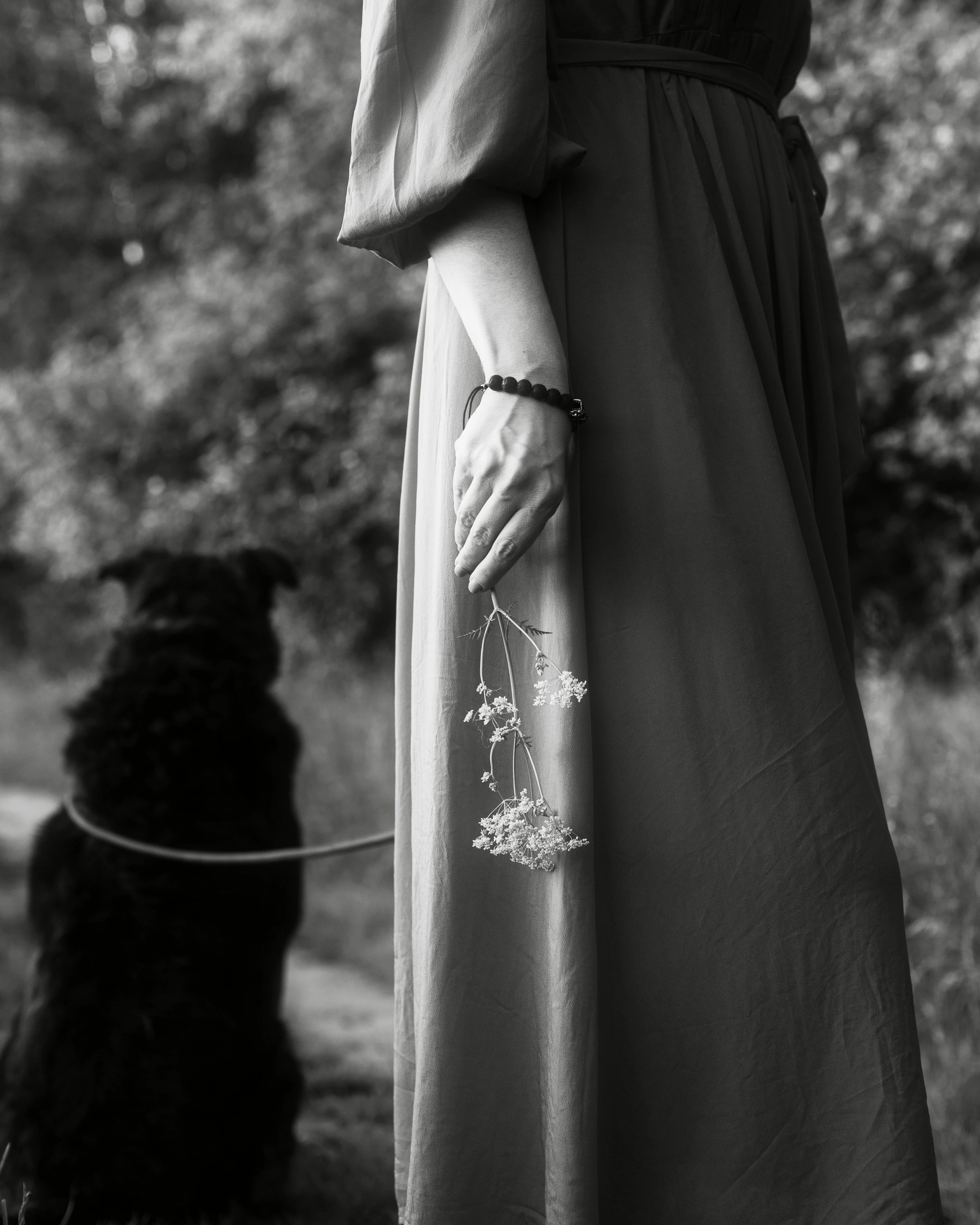 Прогулка с собакой. Ekaterina Beridze