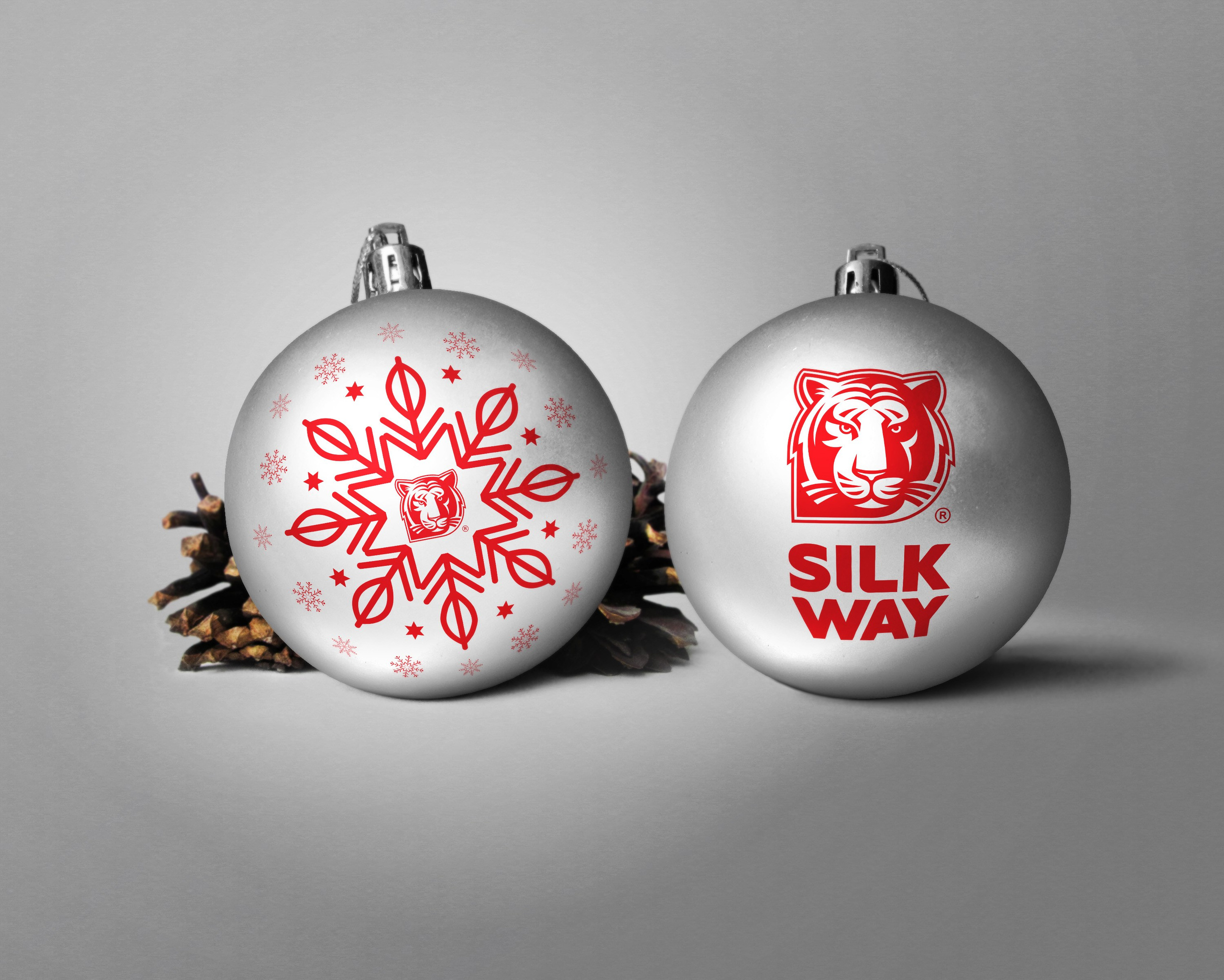 SILK WAY RALLY. Портфолио