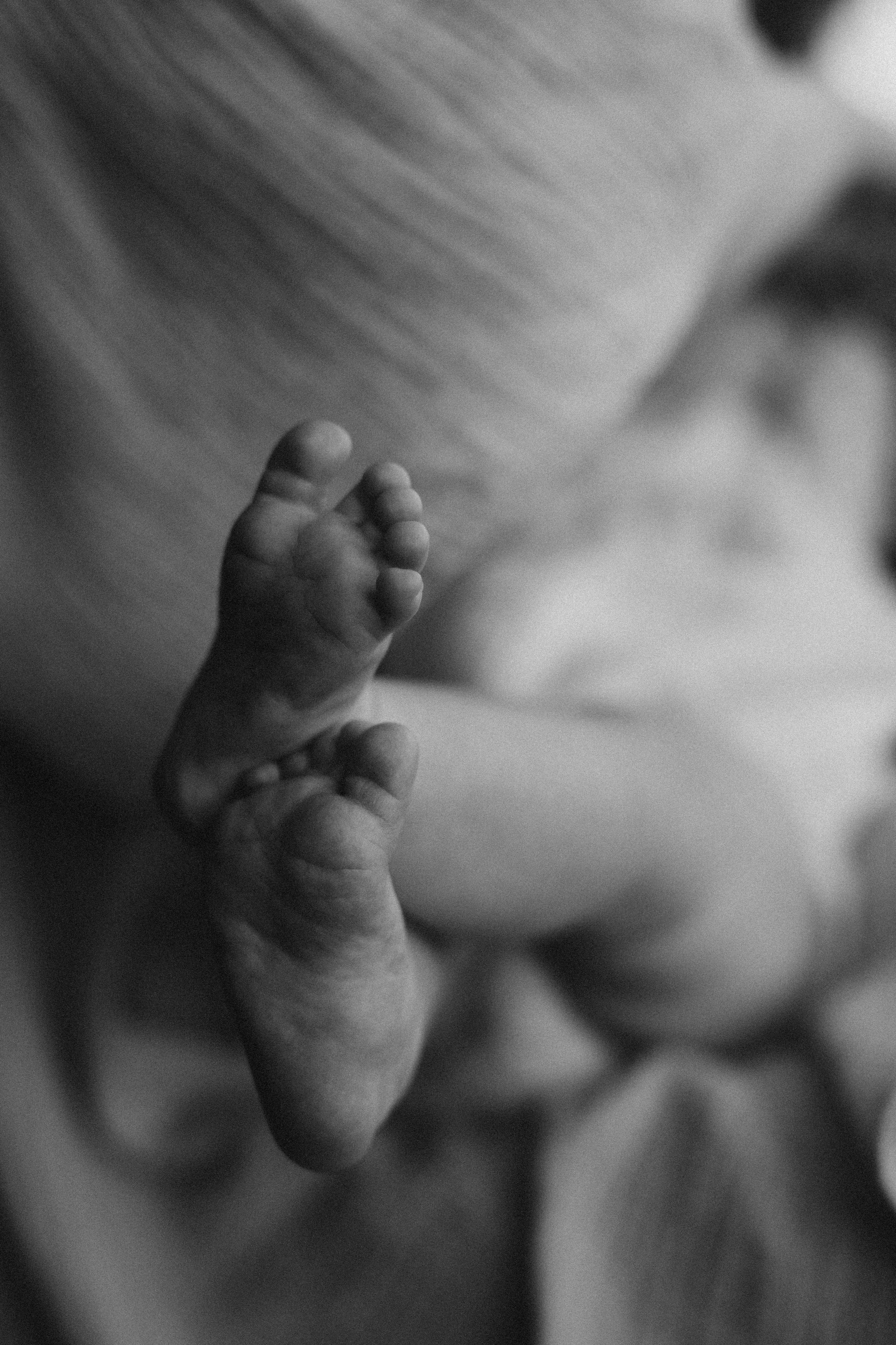 Максим, Кристина и Ева. Свадебный и семейный фотограф в Калуге Анна Киреева