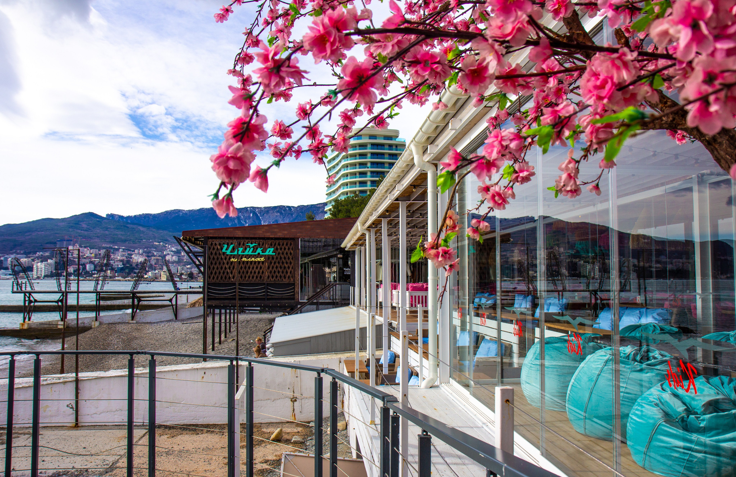 Чайка Kids, Чайка Кидс открытие ресторана