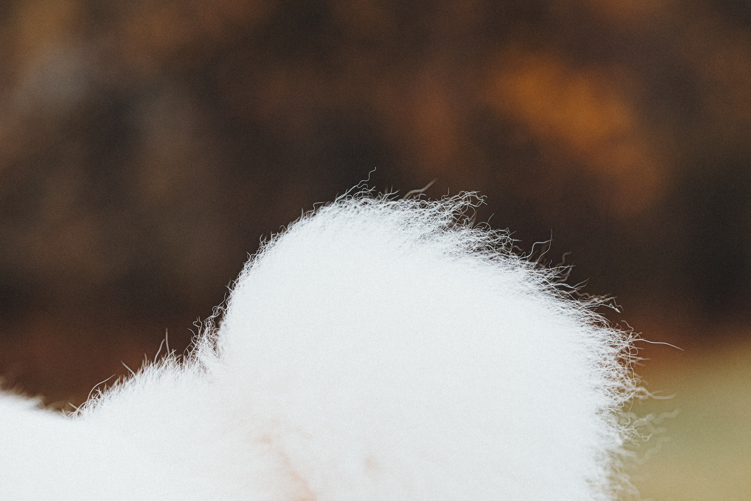 Valya & Varya. Natalia Finch Photography — Family, Kids & Pet Photographer in Chicago, IL