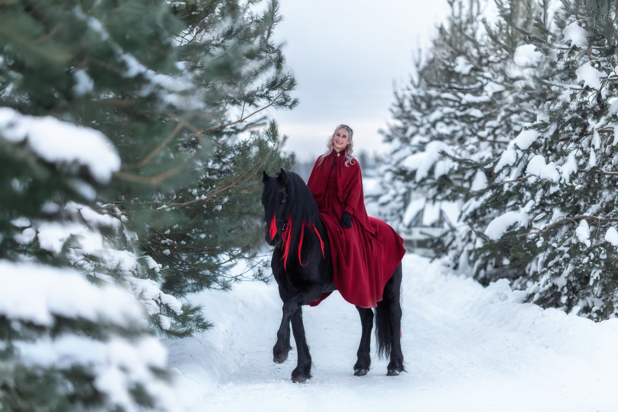 Фотосессия с лошадью зимой. Фотосессии с лошадьми в Москве от фотографа Кутейниковой Светланы