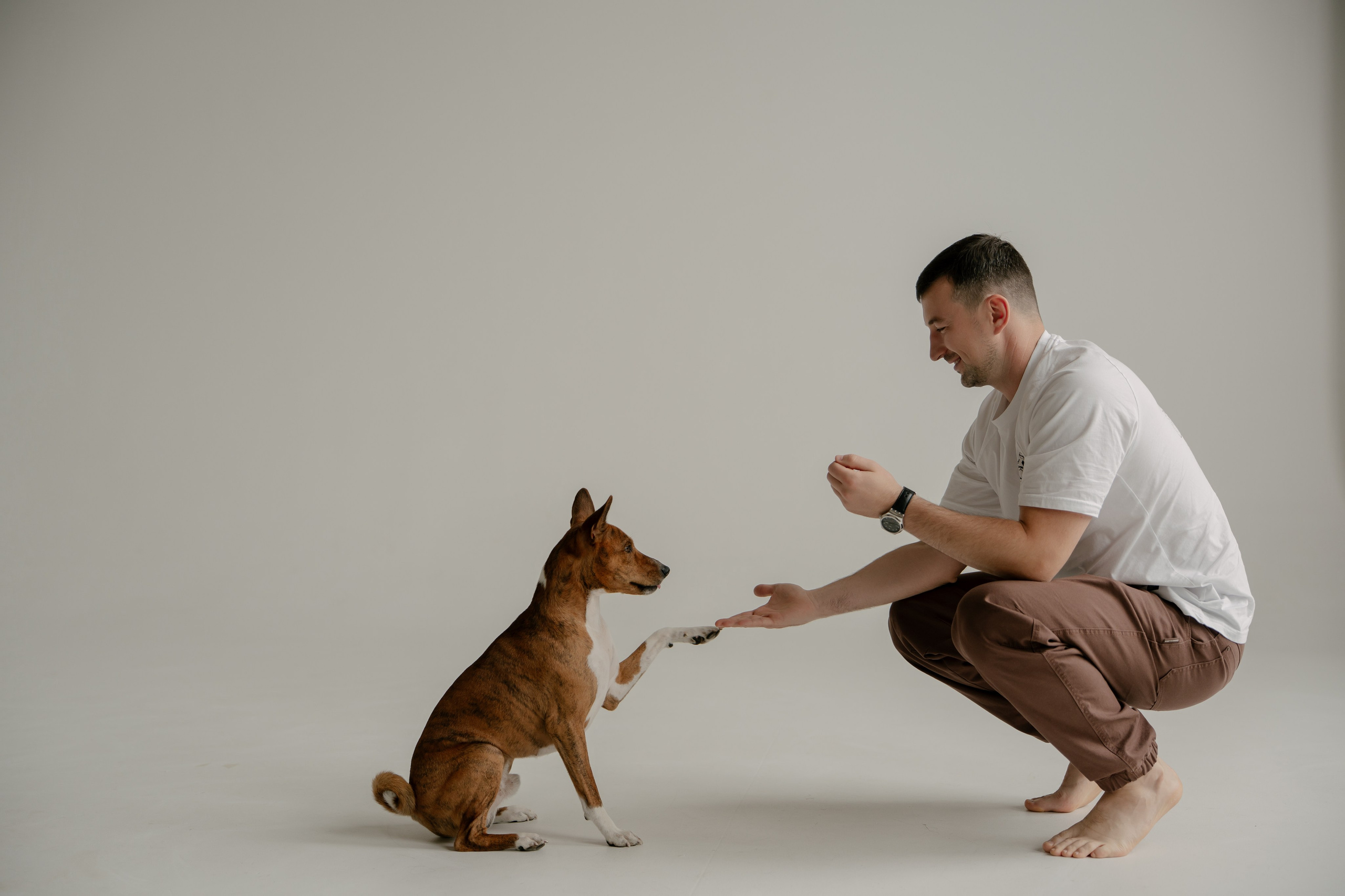 Арина, Антон и Бутс. Свадебный и семейный фотограф в Москве и Красногорске — живые кадры | Анастасия Тихонова
