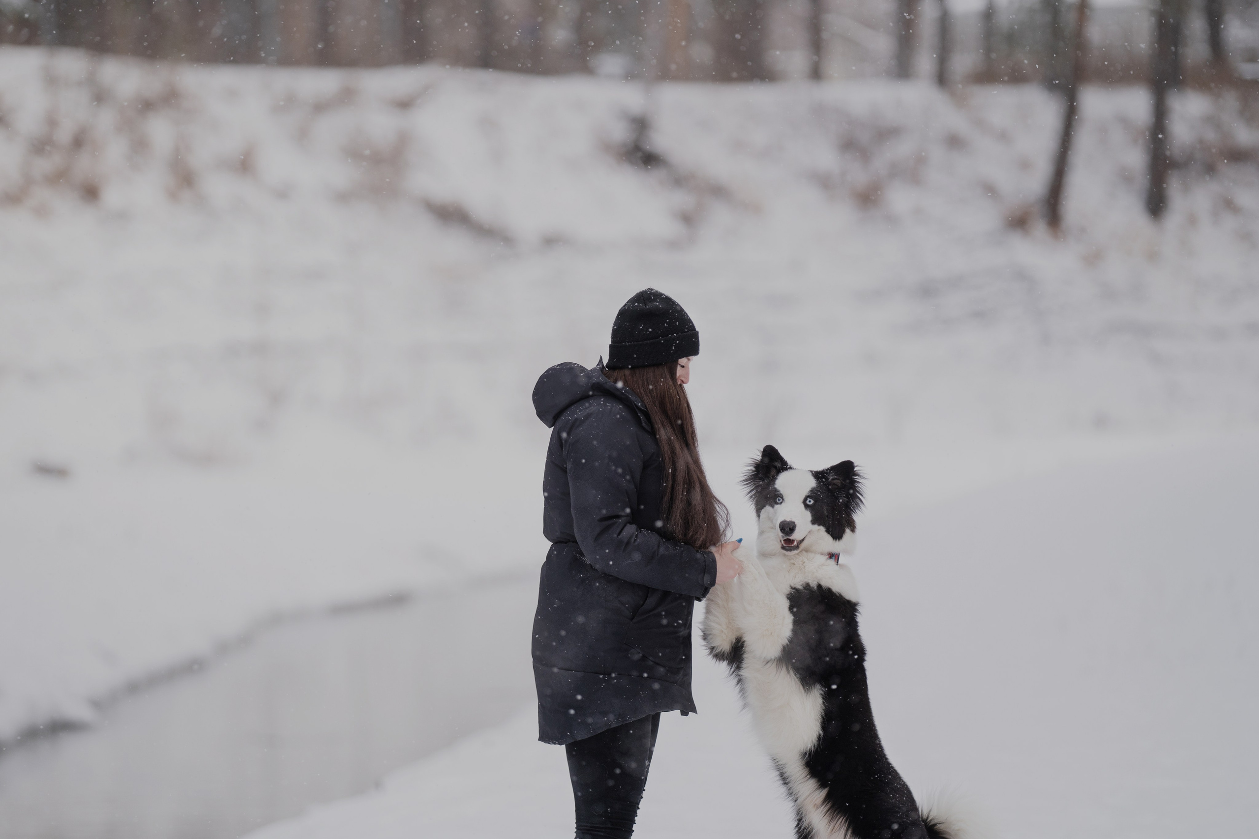 Ликер. Kameramotor74