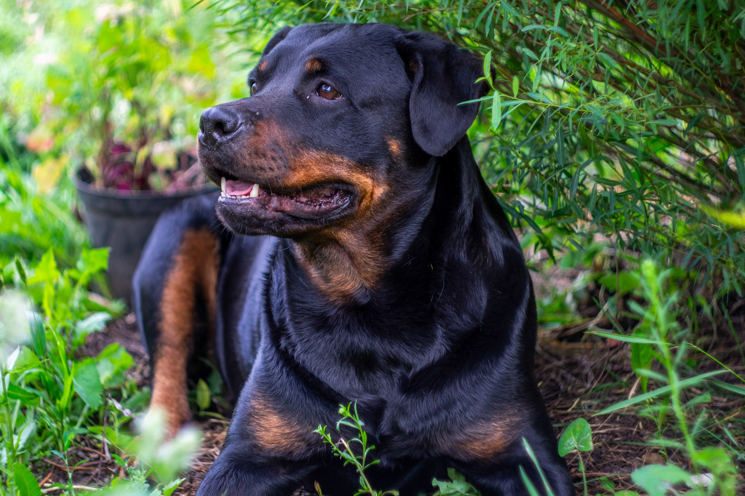 Семейные съемки. Фотограф из Чистополя