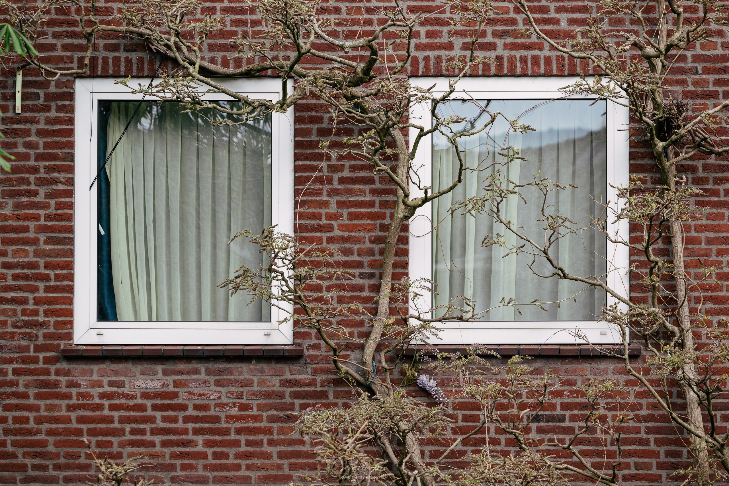 Эйндховен, городские зарисовки. Авторские стильные фотокартины
