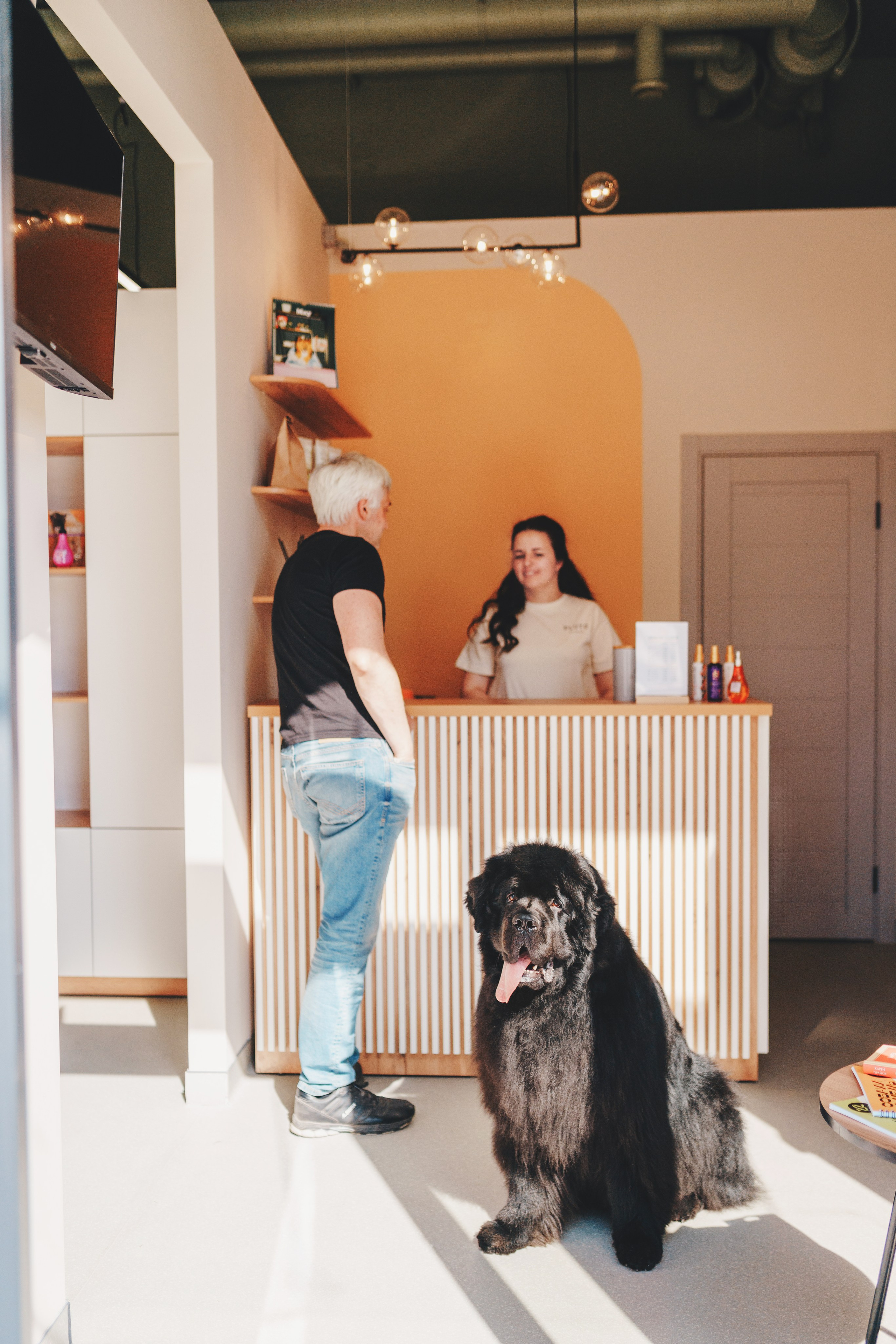 Груминг-салон. Фотограф анималист Осипчикова Мария