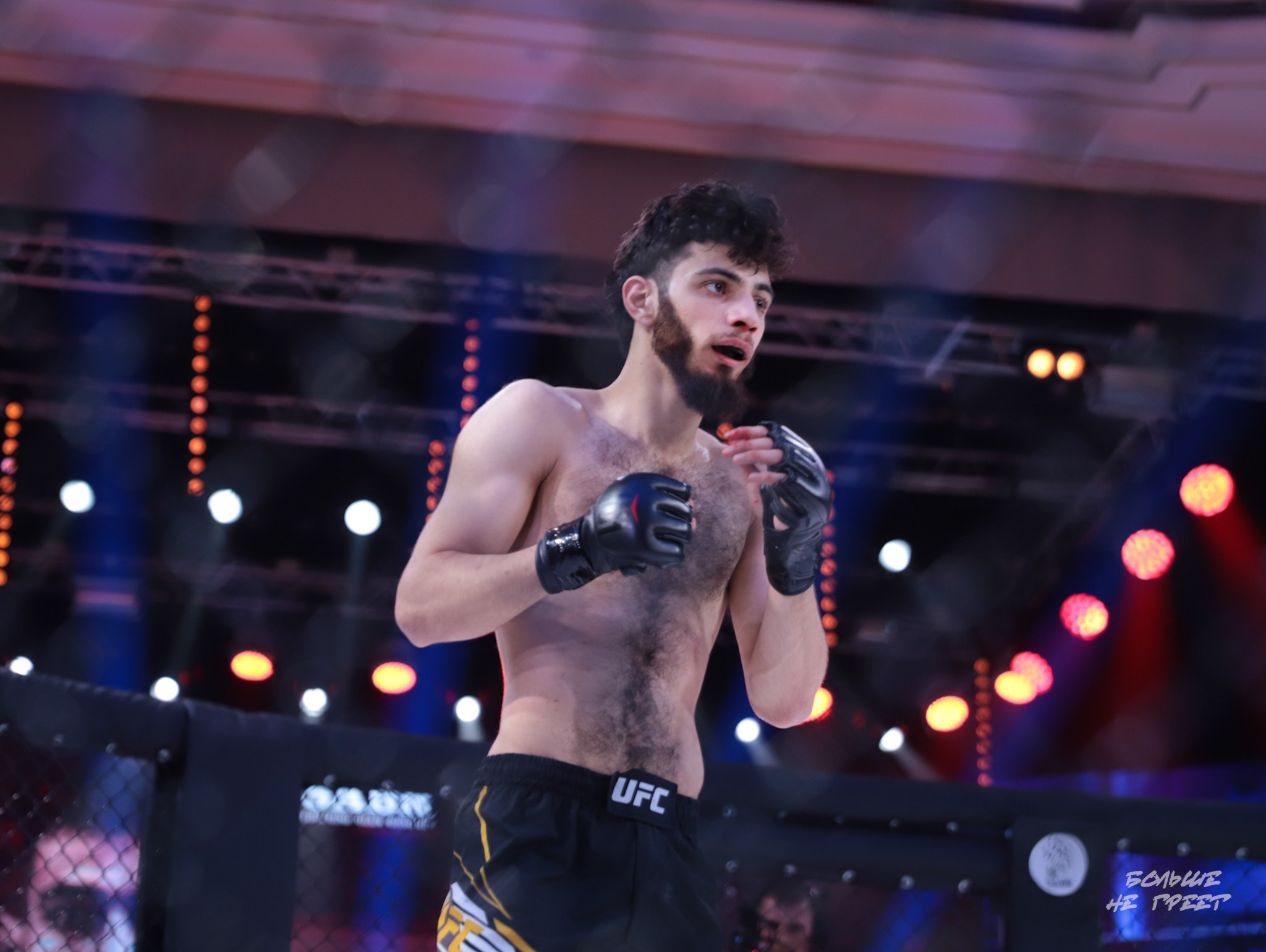 SABR FIGHTING. Больше не греет