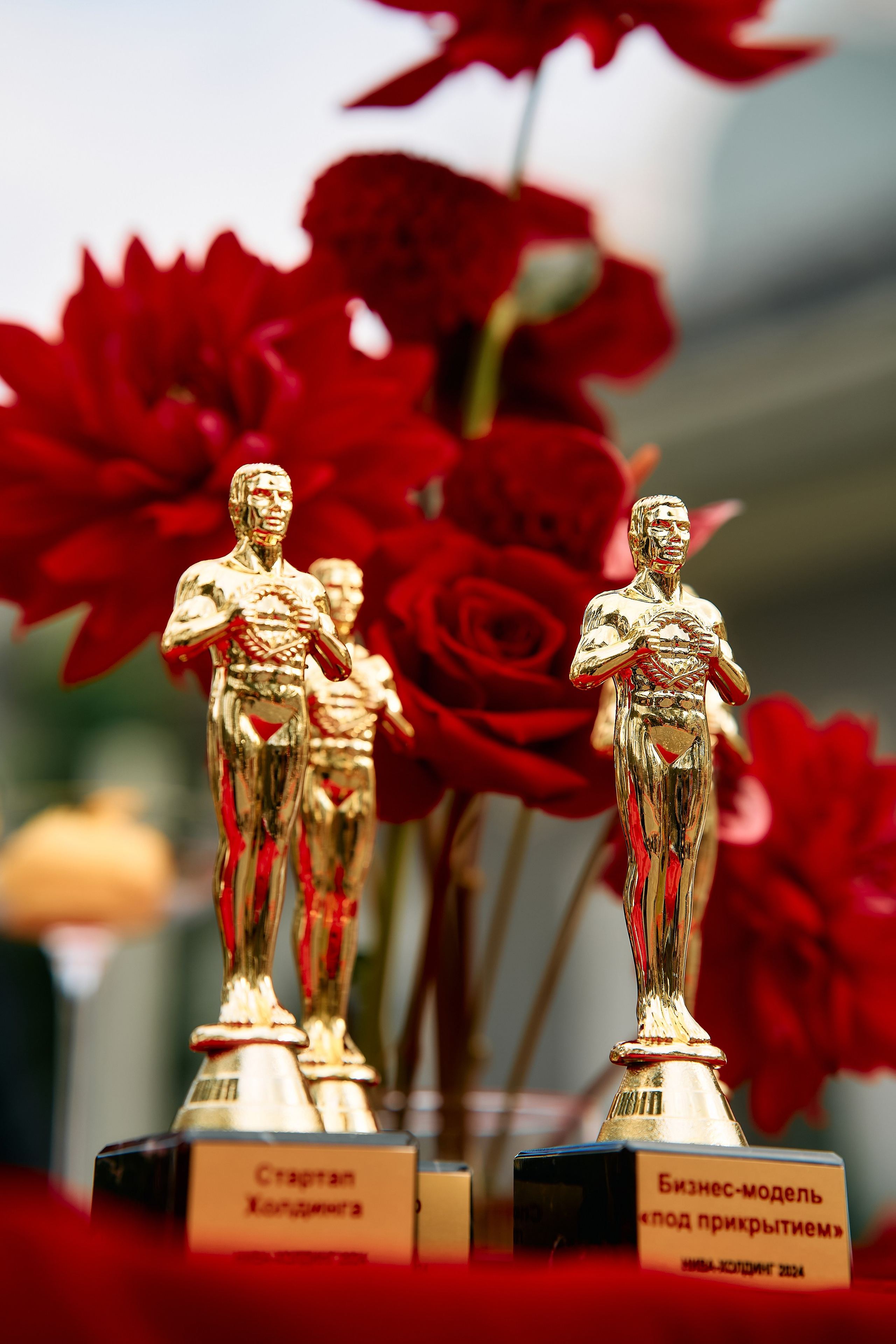 NIVA — день строителя. Свадебный фотограф Минск РБ