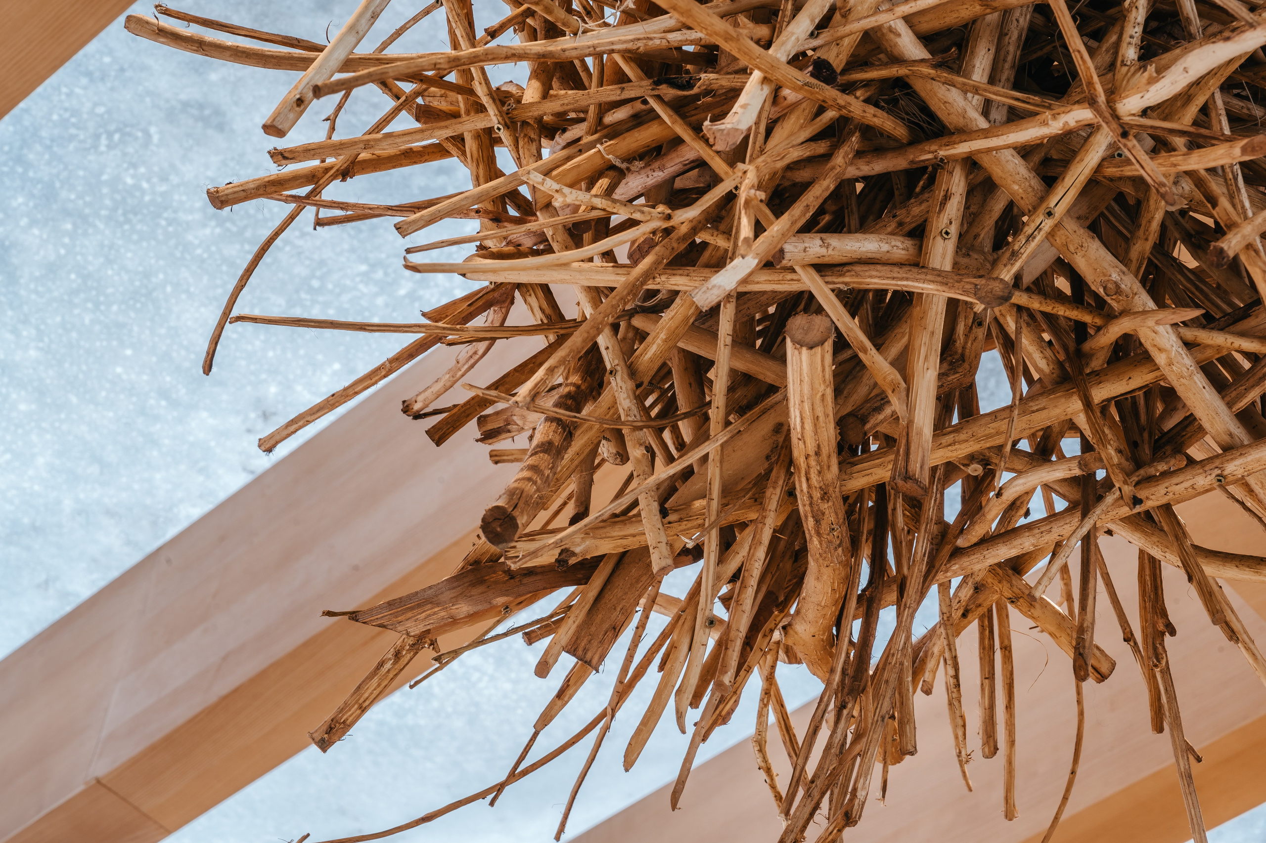 FØRST, FORMA. @tomrus: Рустам Шагиморданов — фотограф