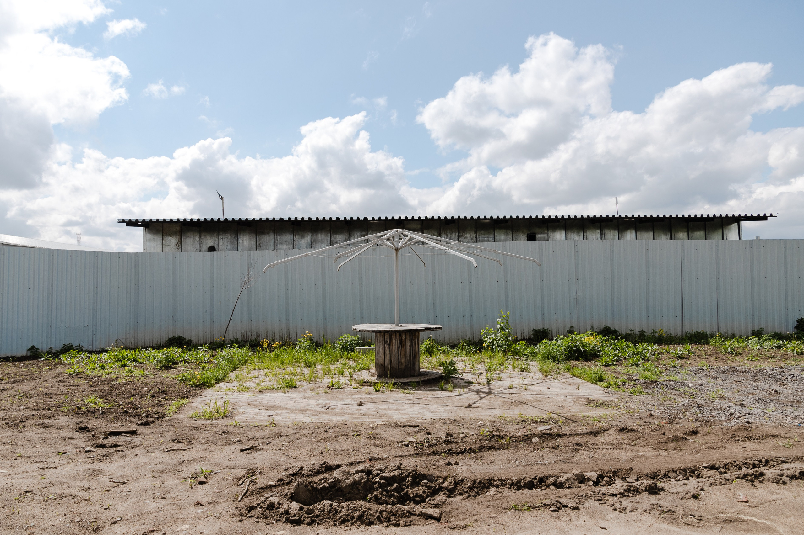 Открытый мир. DASHA KALNINA