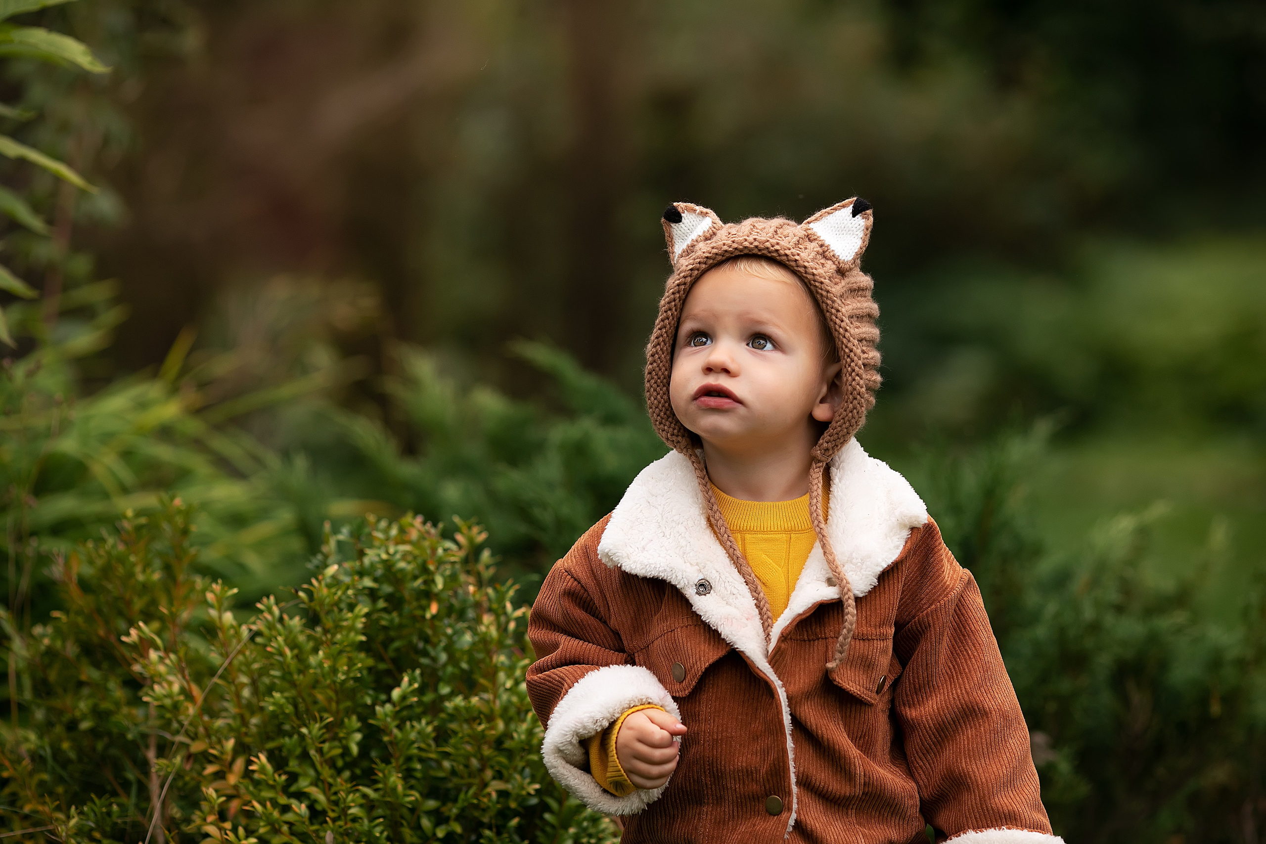 Сказочная осень. Главная