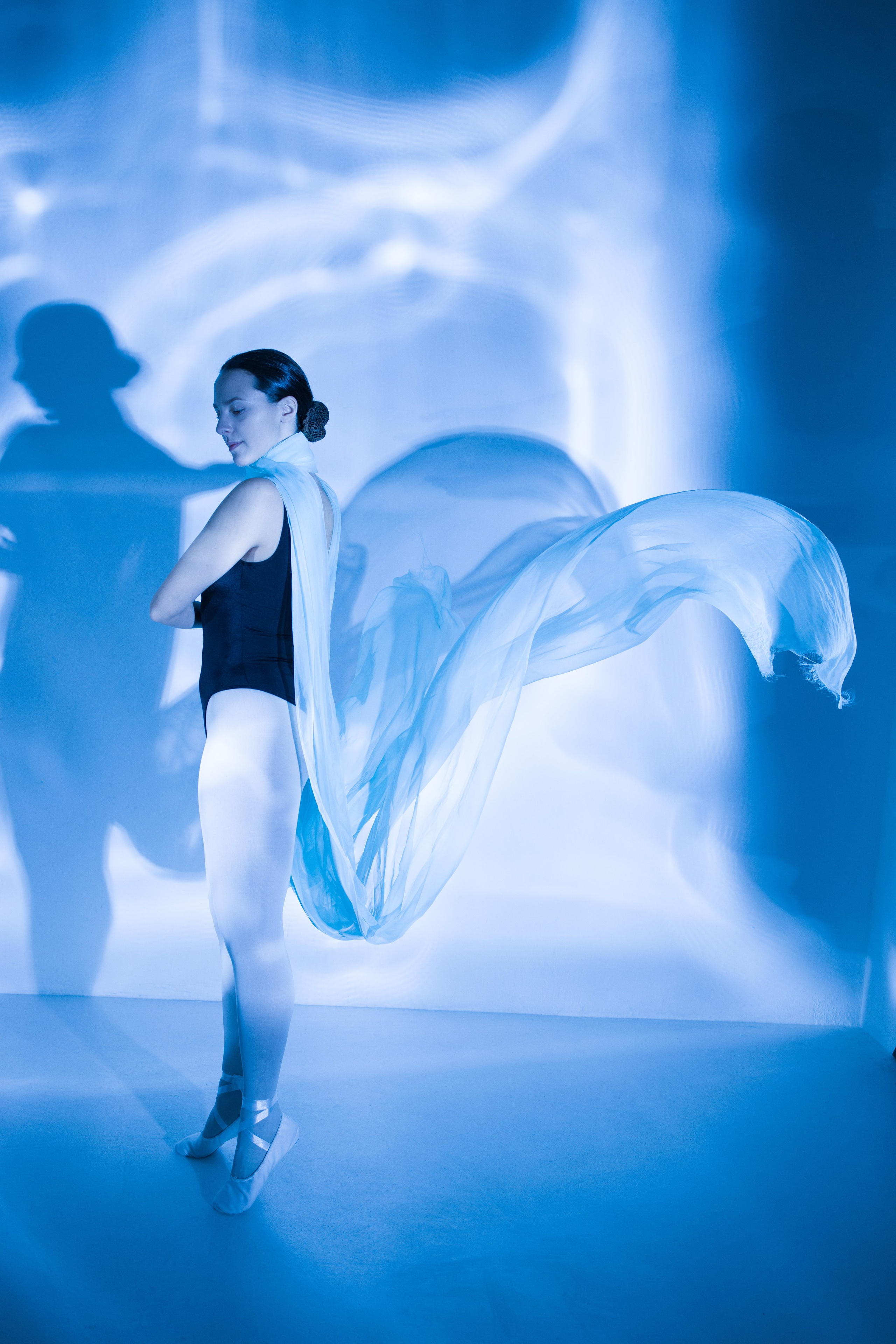 Лилия. Художественная фотография